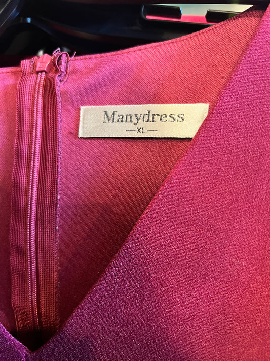 Burgundy Bishop Sleeve Dress