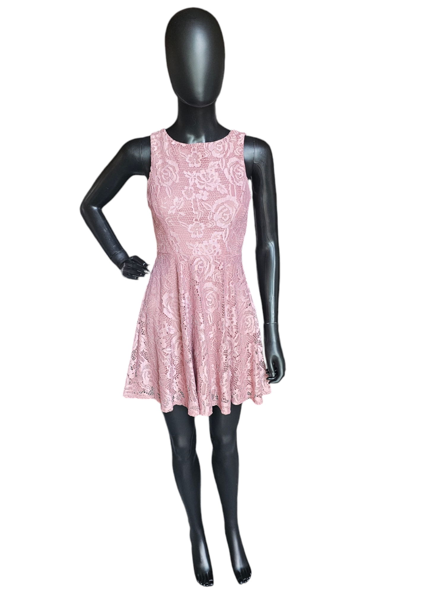 Rose Lace Circle Skirt Dress - Speechless Rose Lace Circle Skirt Dress - Speechless