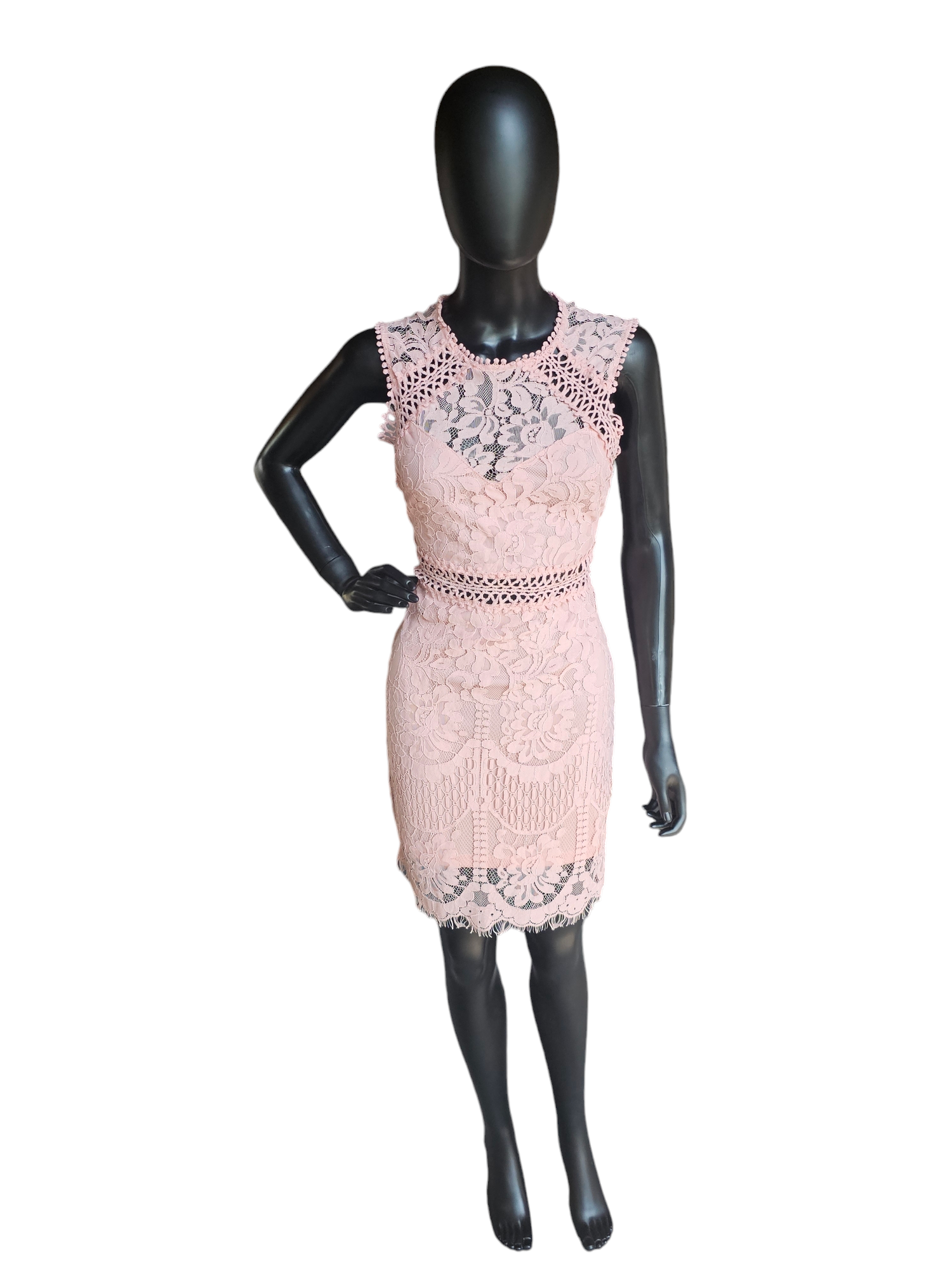 Pink Lace Illusion Sheath Dress Pink Lace Illusion Sheath Dress