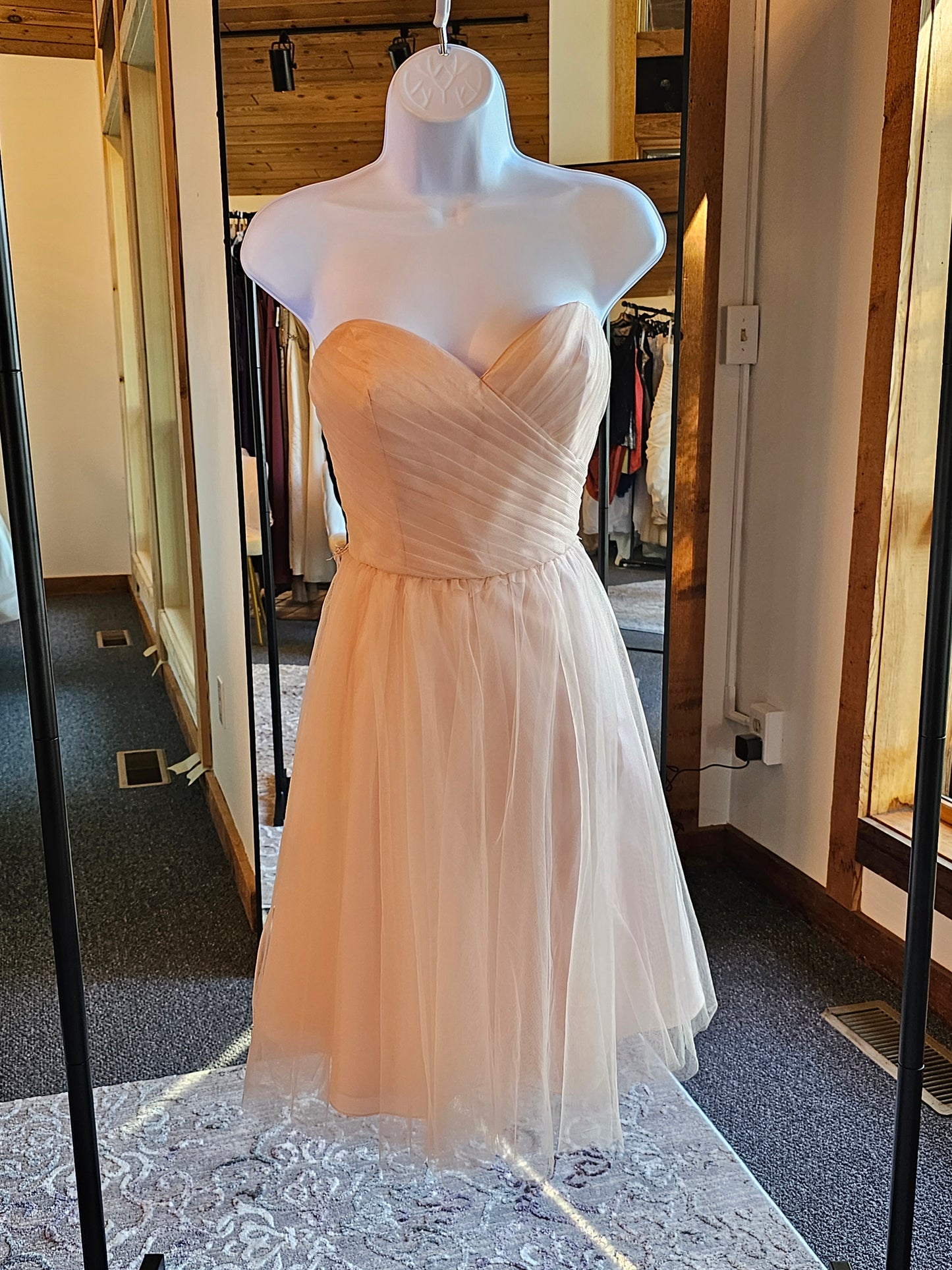 Blush Tulle Sweetheart Short Party Dress