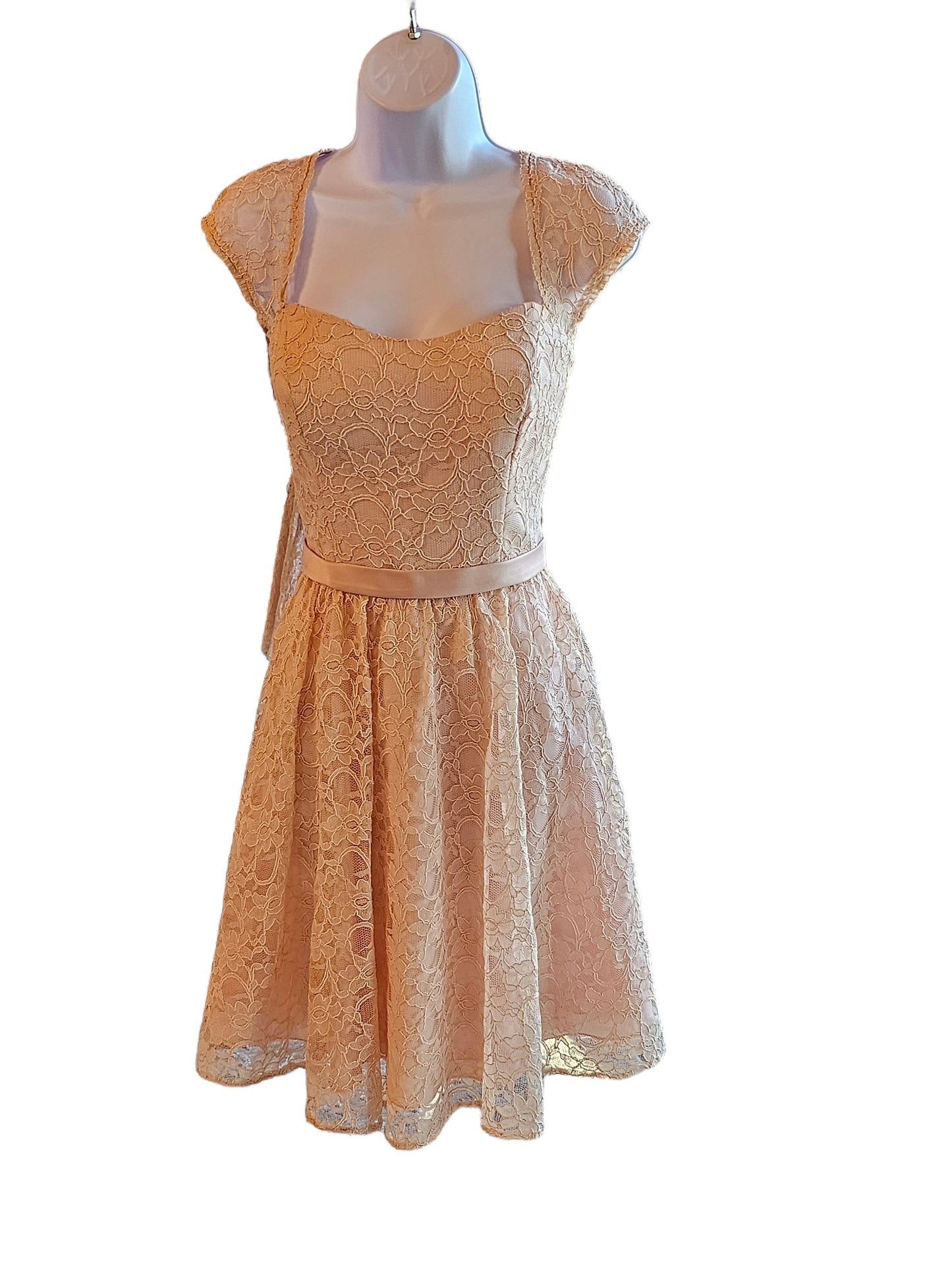 Blush Lace Cap Sleeve Short Party Dress