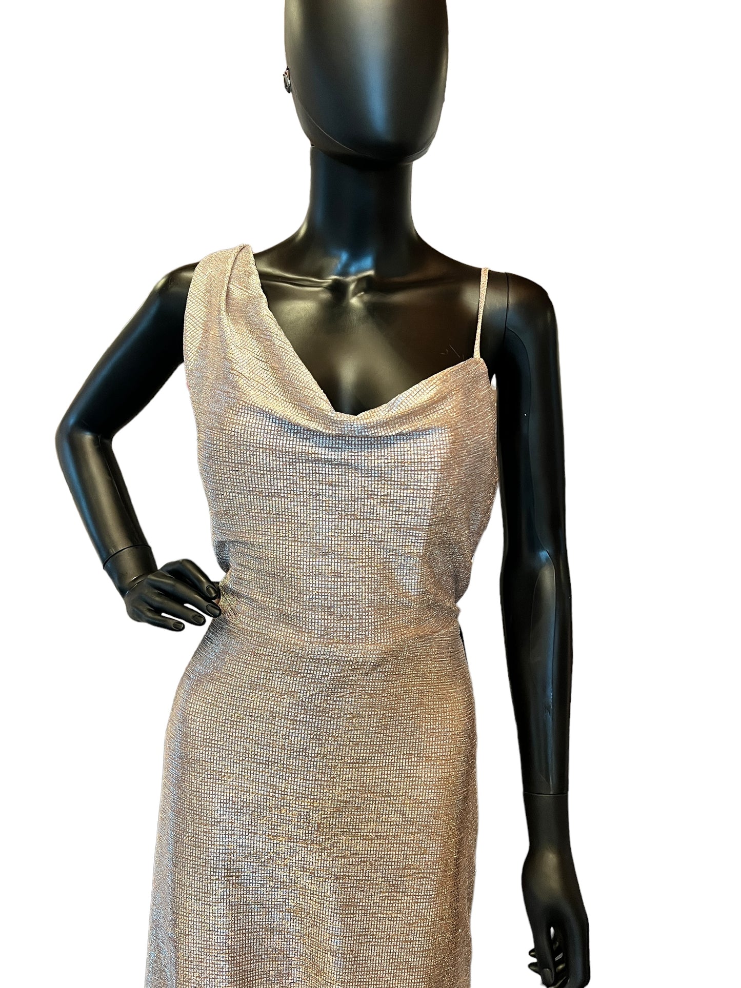 Hayley Paige Metallic Rose One Shoulder Maxi Formal Dress