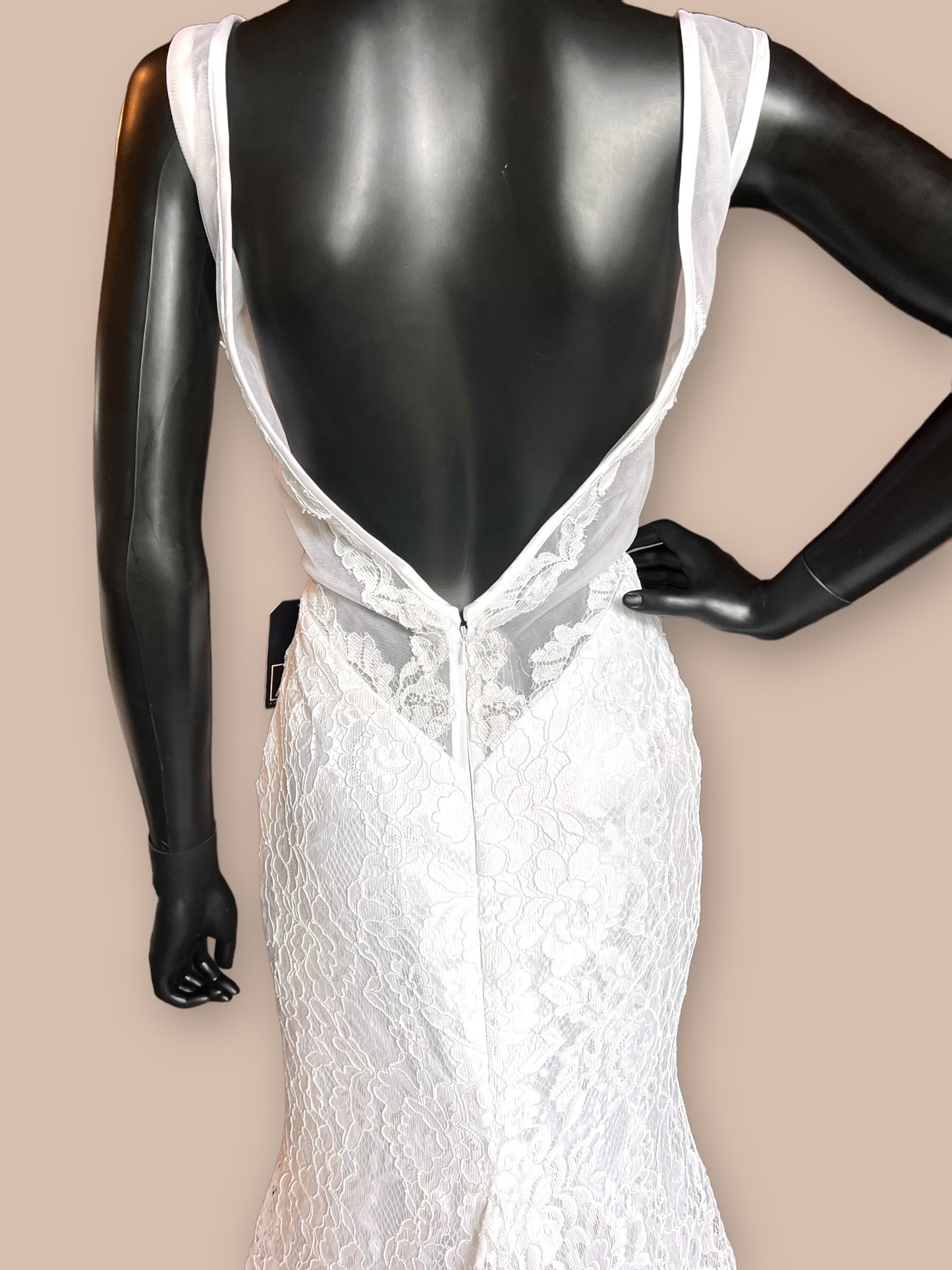 Lace Fitted Sheer Overlay W/Pockets Wedding Gown