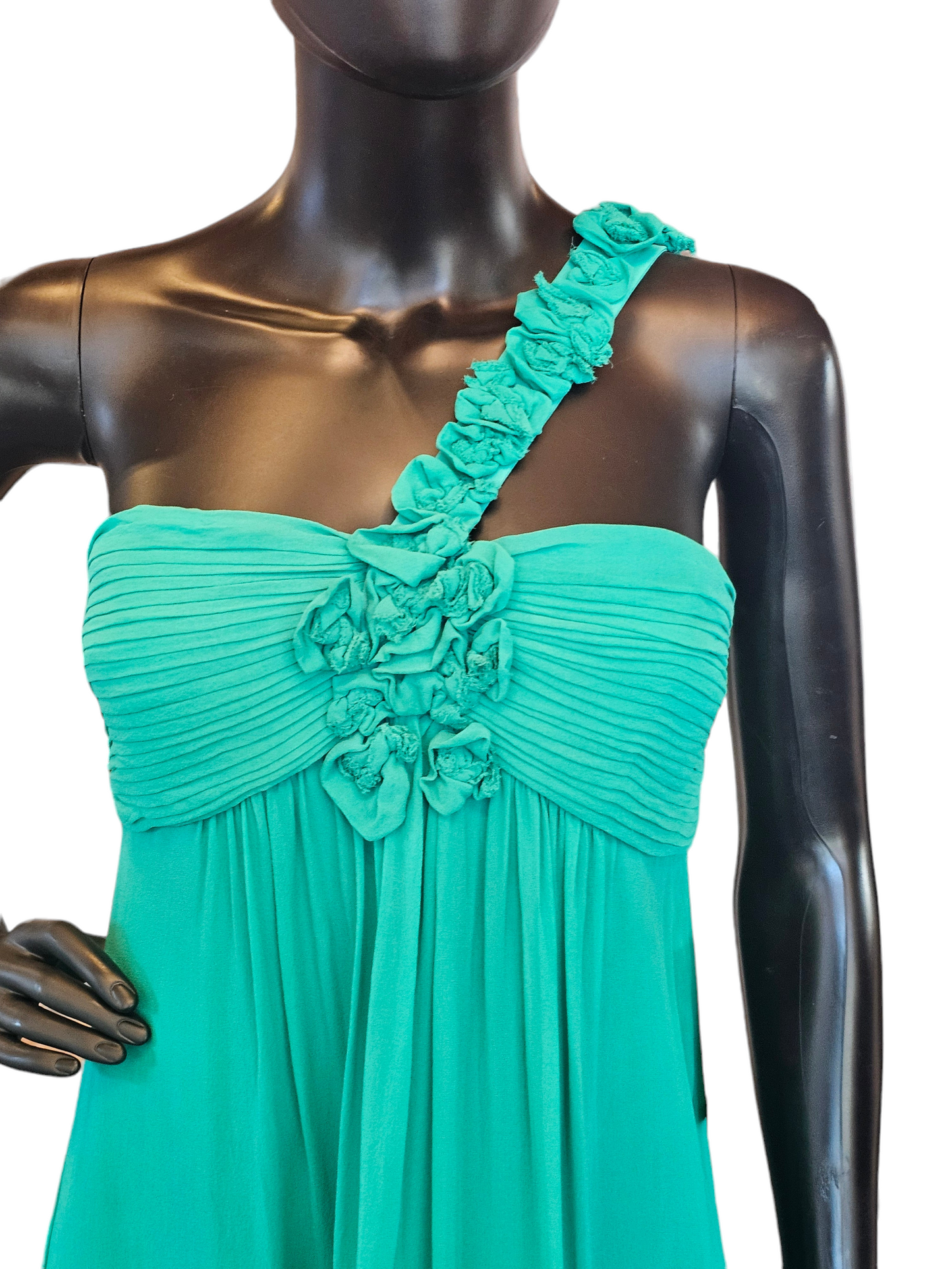 BCBG Max Kelly Green Chiffon Maxi Dress