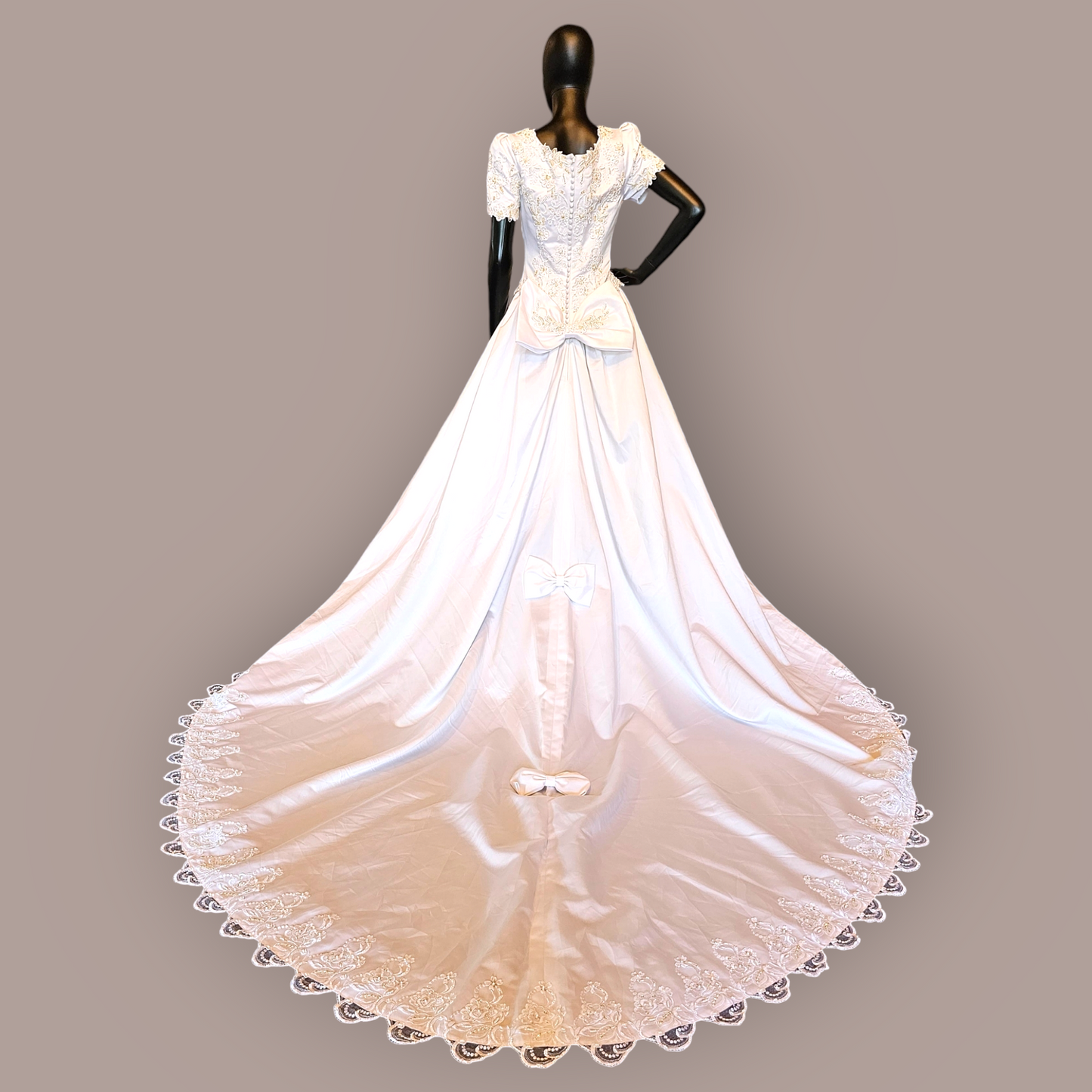 Alex Hanson Beaded Traditional Wedding Gown