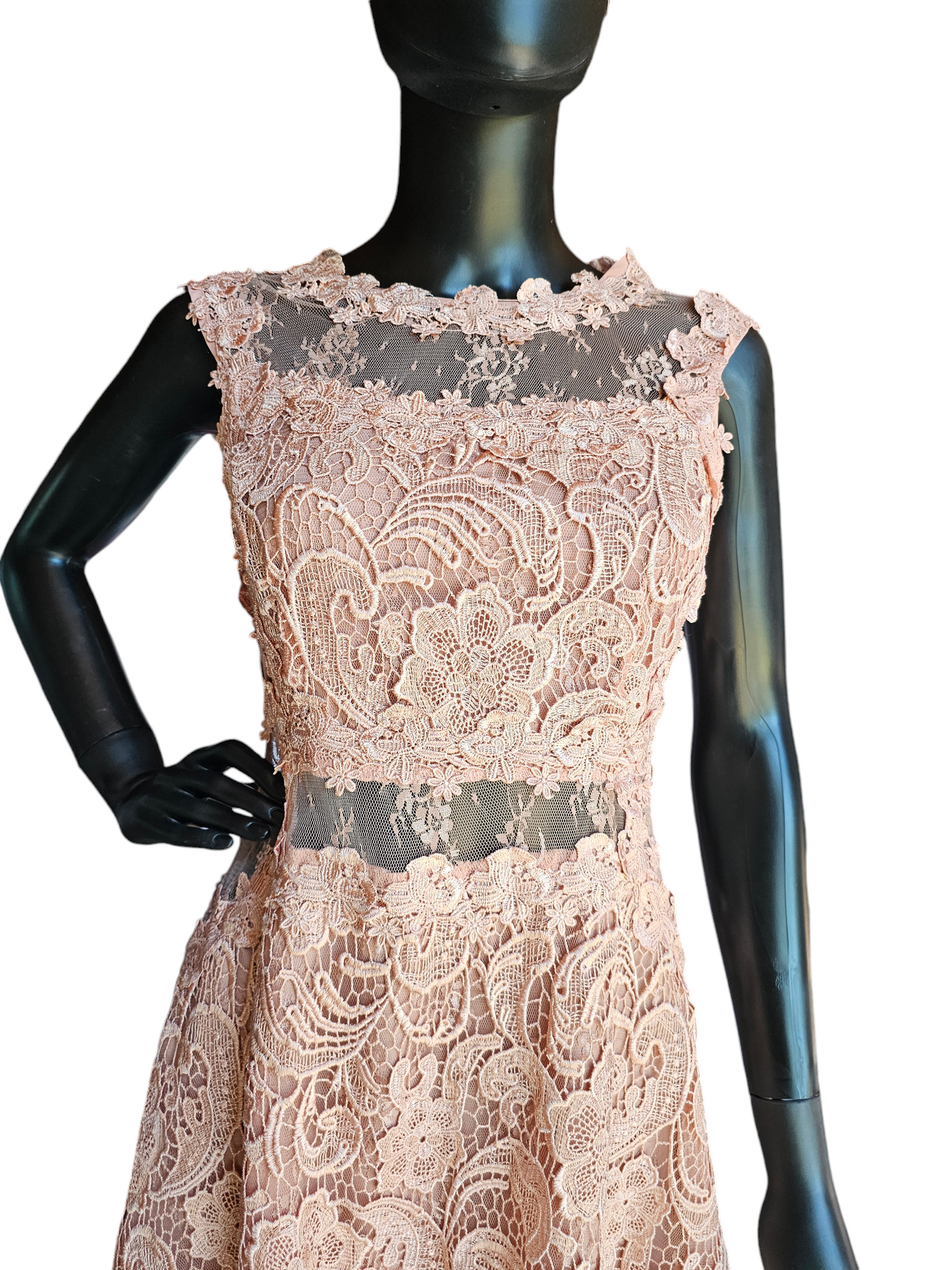 Peach Lace Illusion Panel Dress - ANGL