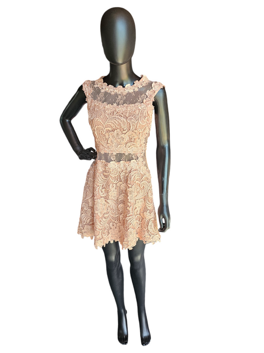 Peach Lace Illusion Panel Dress - ANGL