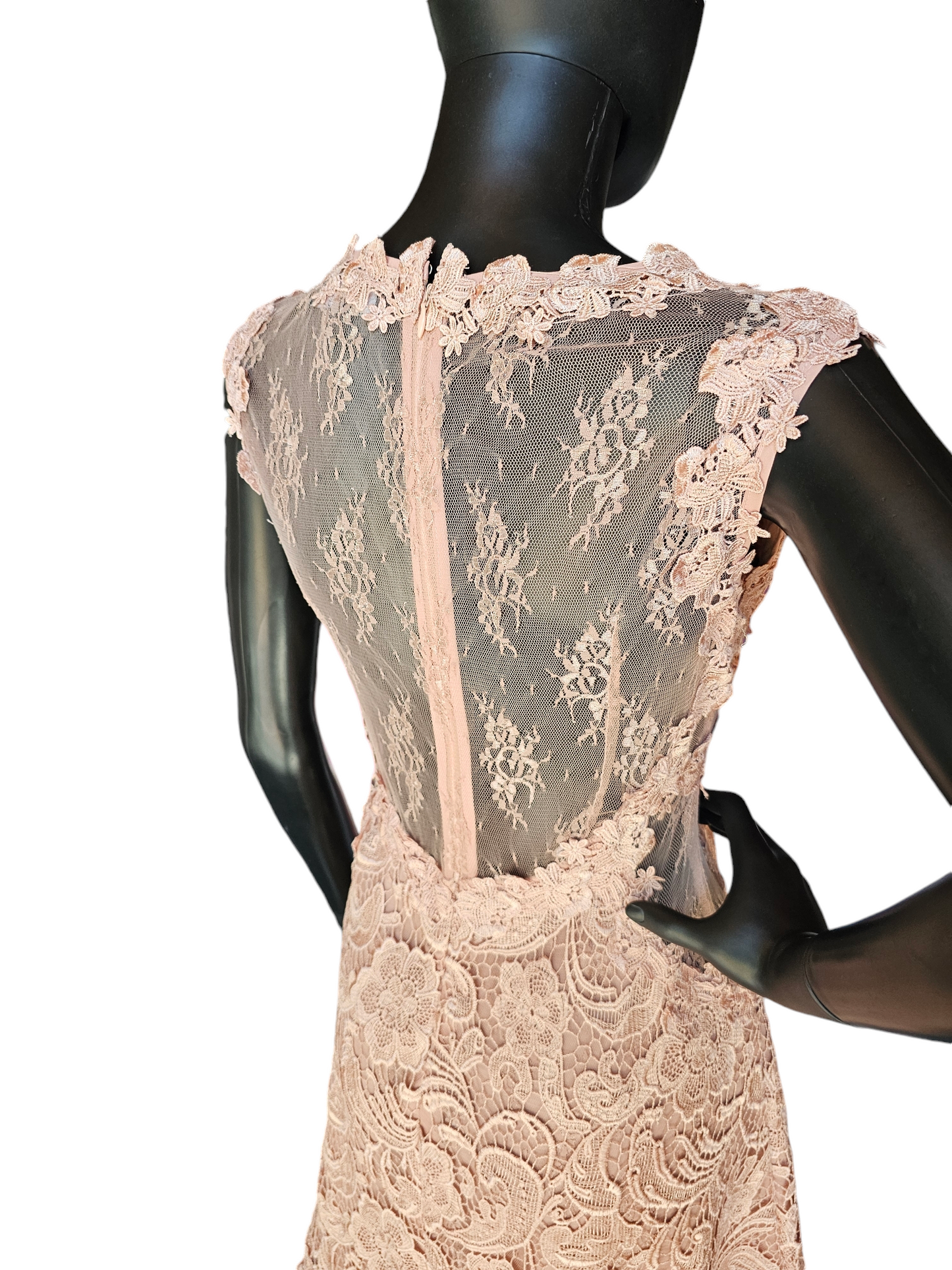 Peach Lace Illusion Panel Dress - ANGL