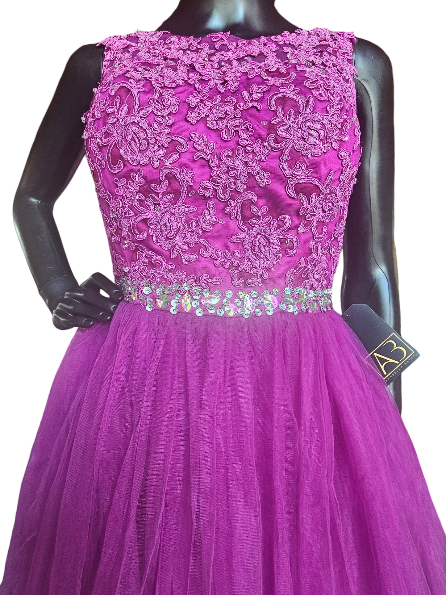 Purple Lace & Crystal Dress