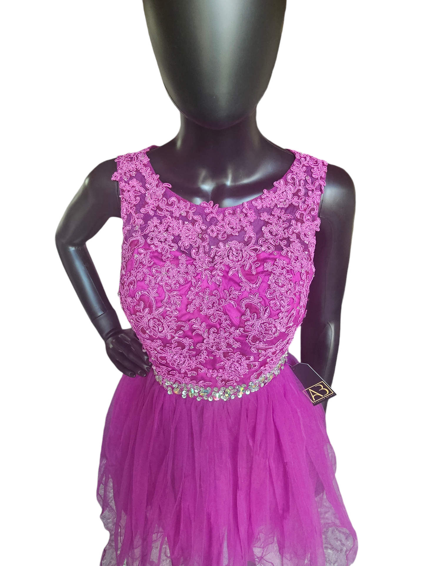 Purple Lace & Crystal Dress