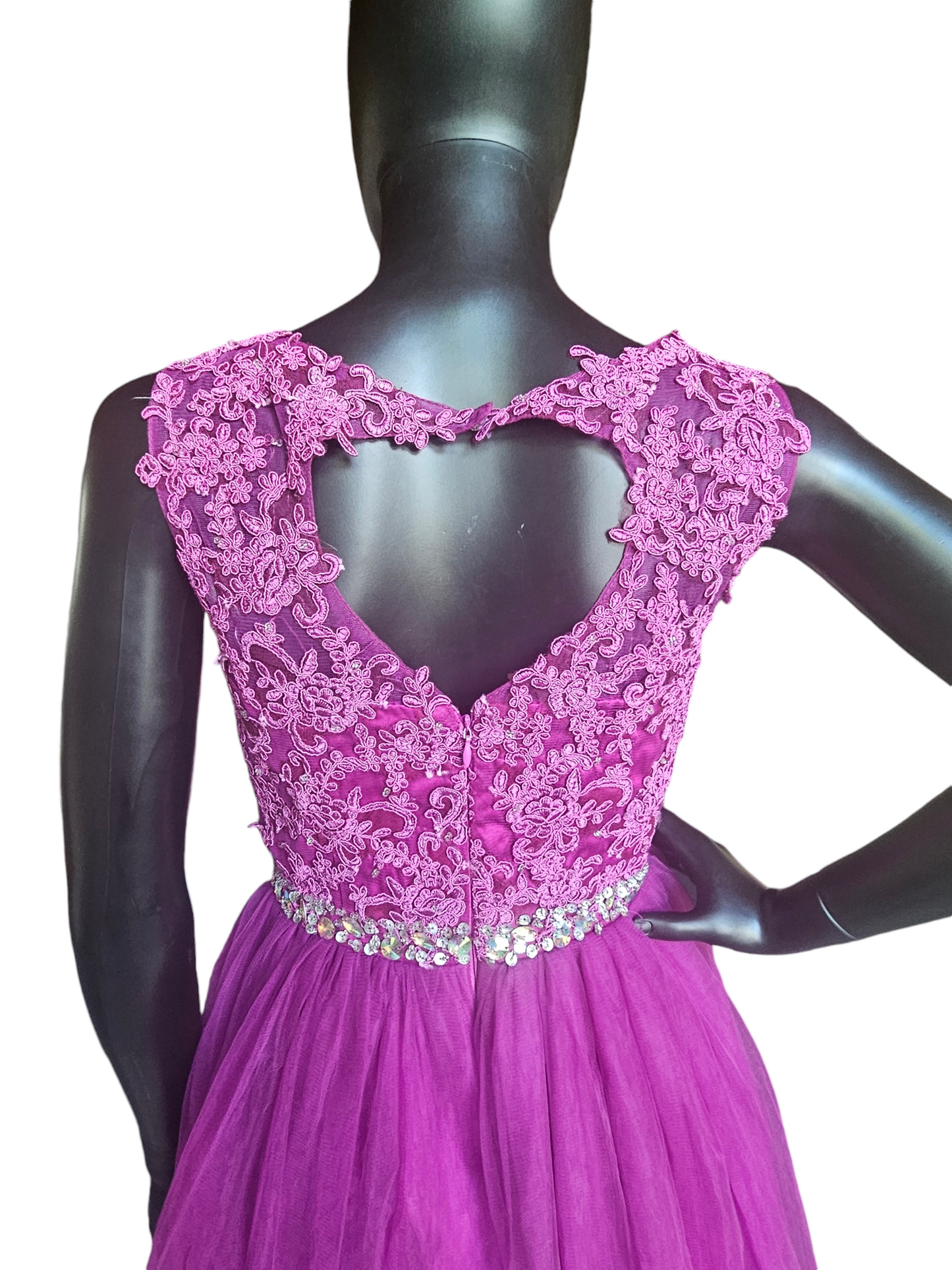 Purple Lace & Crystal Dress