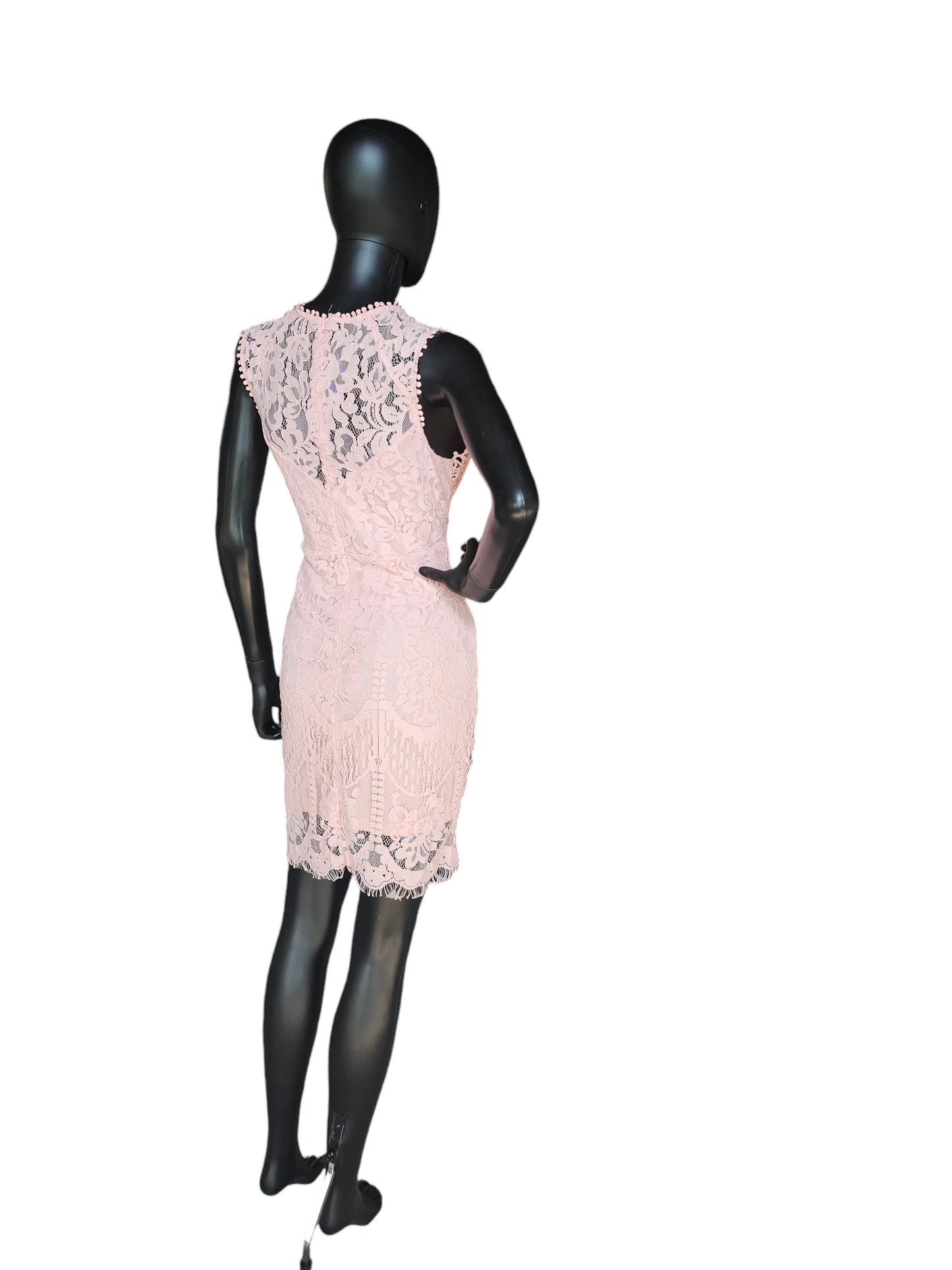 Pink Lace Illusion Sheath Dress