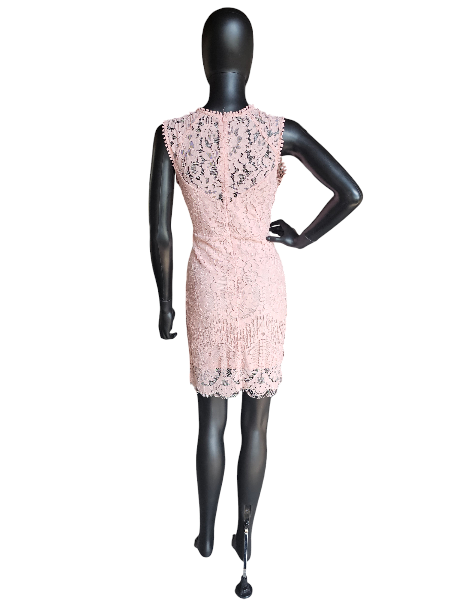 Pink Lace Illusion Sheath Dress Pink Lace Illusion Sheath Dress