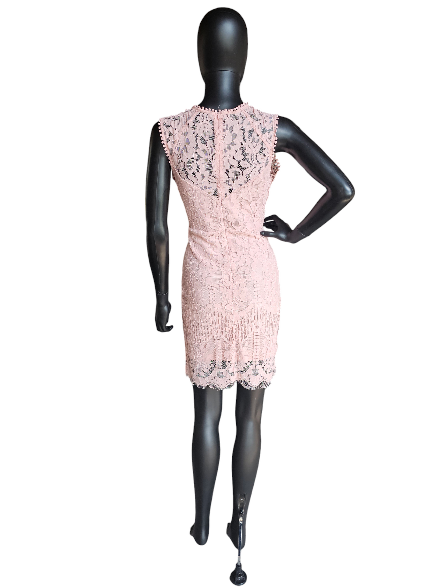 Pink Lace Illusion Sheath Dress