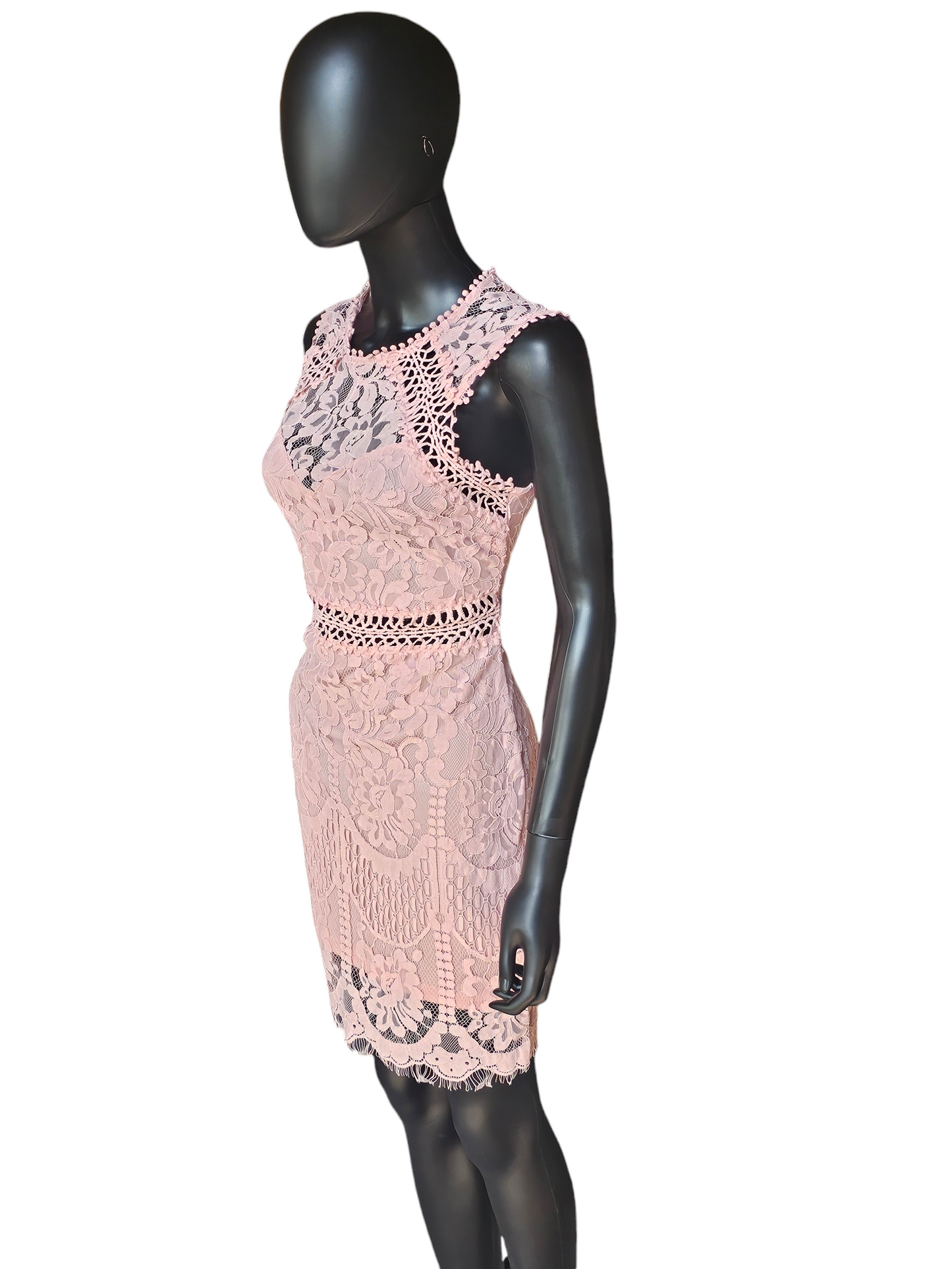 Pink Lace Illusion Sheath Dress