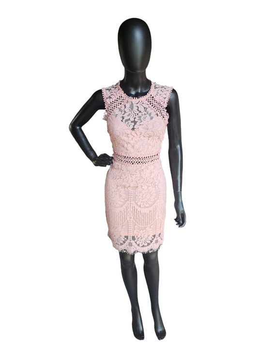 Pink Lace Illusion Sheath Dress