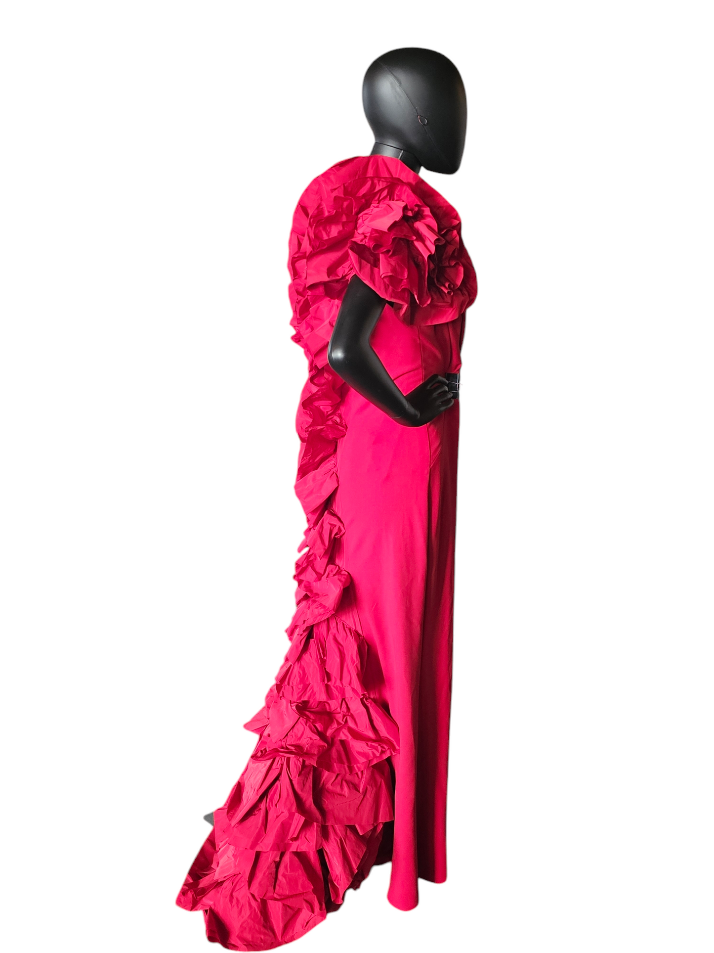 Ruby Crushed Sleeve W/Train Formal Gown - NWT - Tadashi Shoji