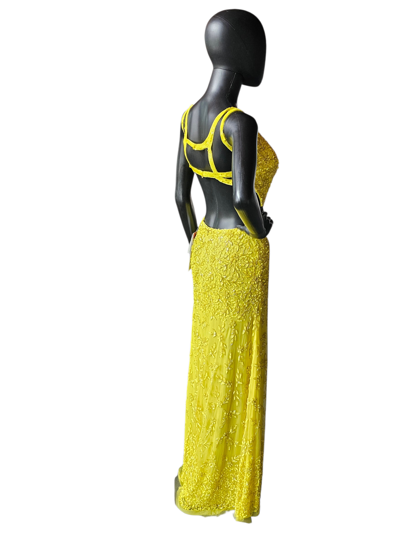 Lemon Fully Beaded Backless Straight Cut Formal/Gala Dress - Cecilia Couture