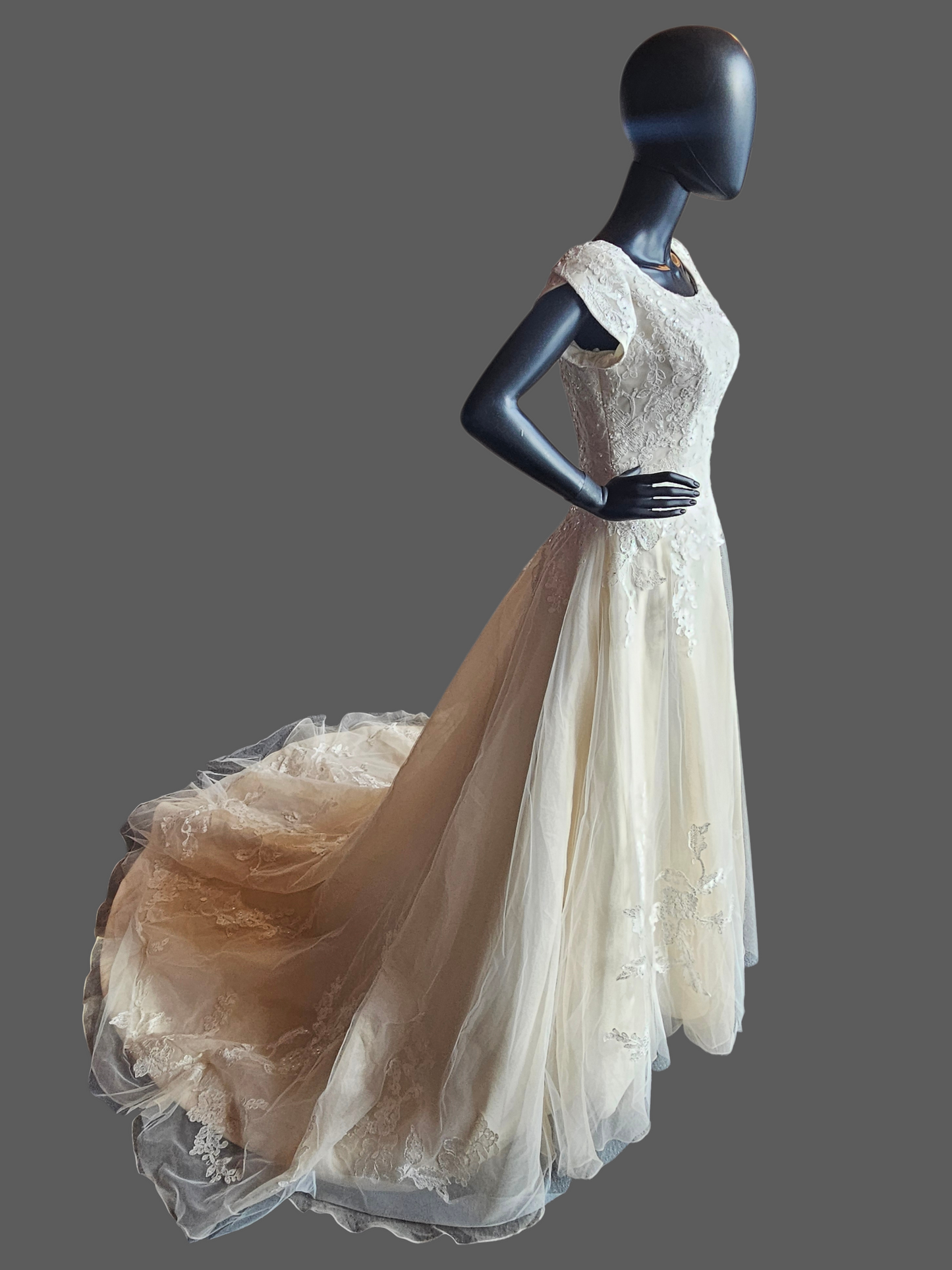 Champagne A-Line Cap Sleeve Floral Embroidered Wedding Gown - Bliss