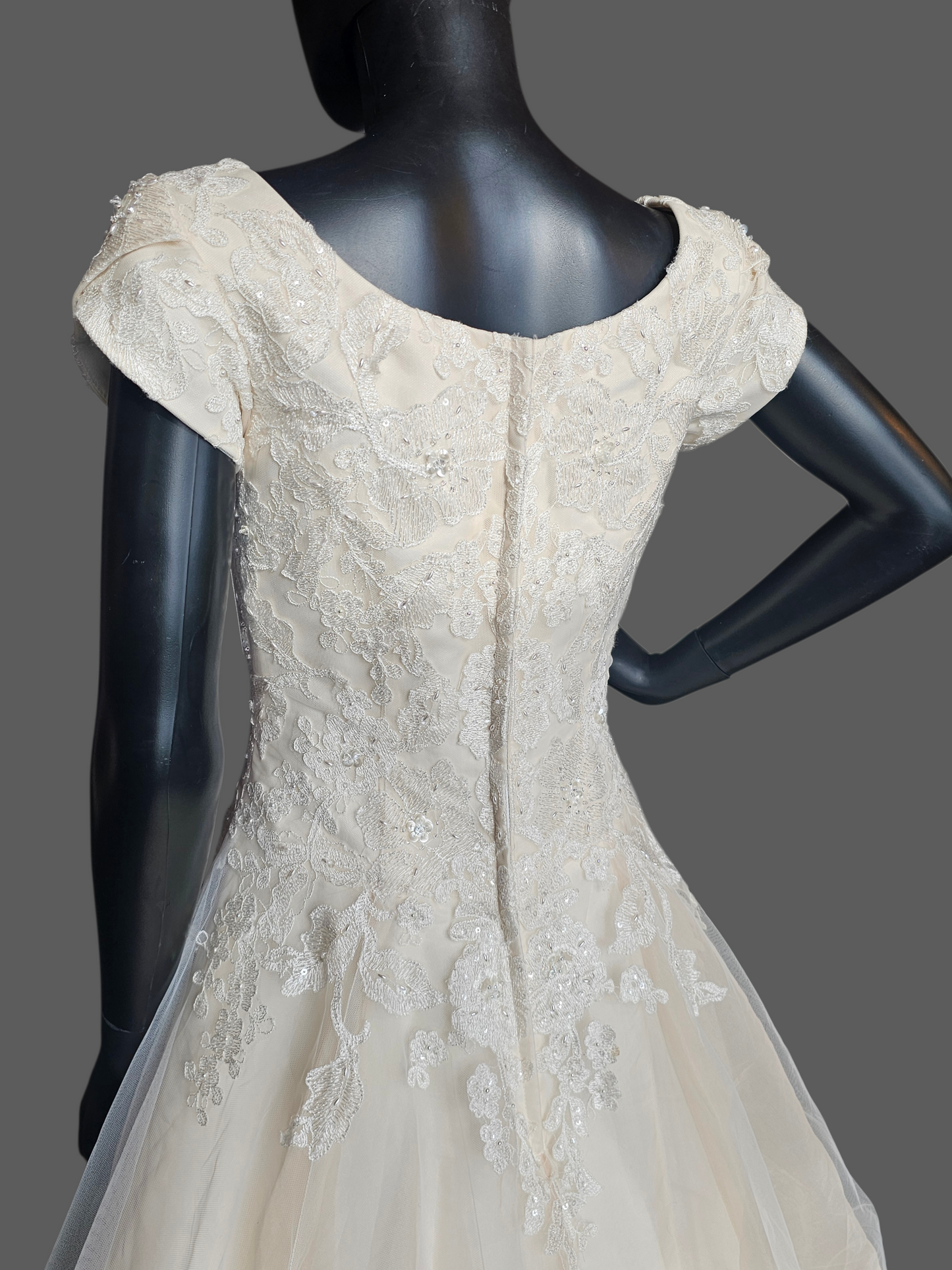 Champagne A-Line Cap Sleeve Floral Embroidered Wedding Gown - Bliss