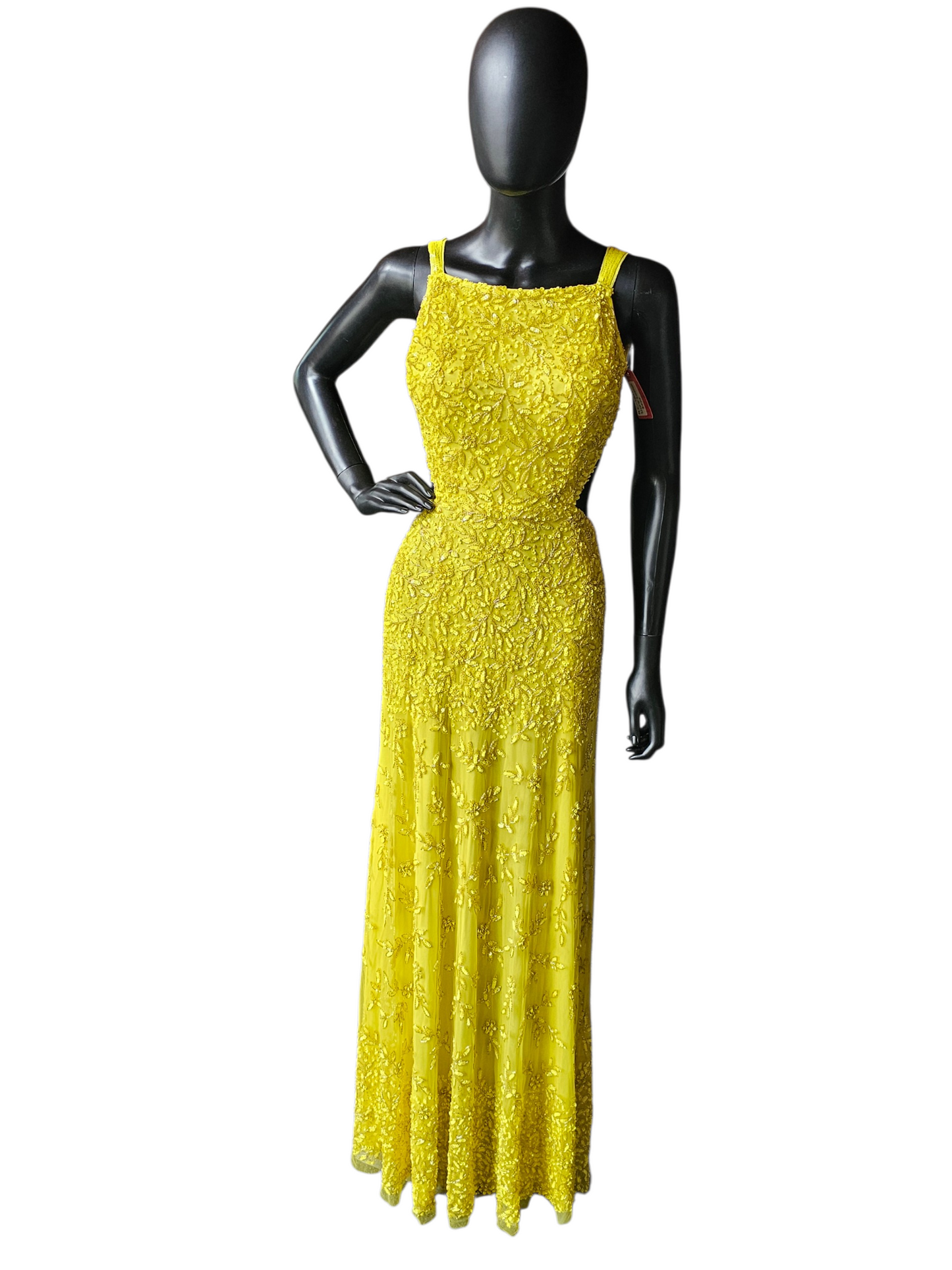 Lemon Fully Beaded Backless Straight Cut Formal/Gala Dress - Cecilia Couture
