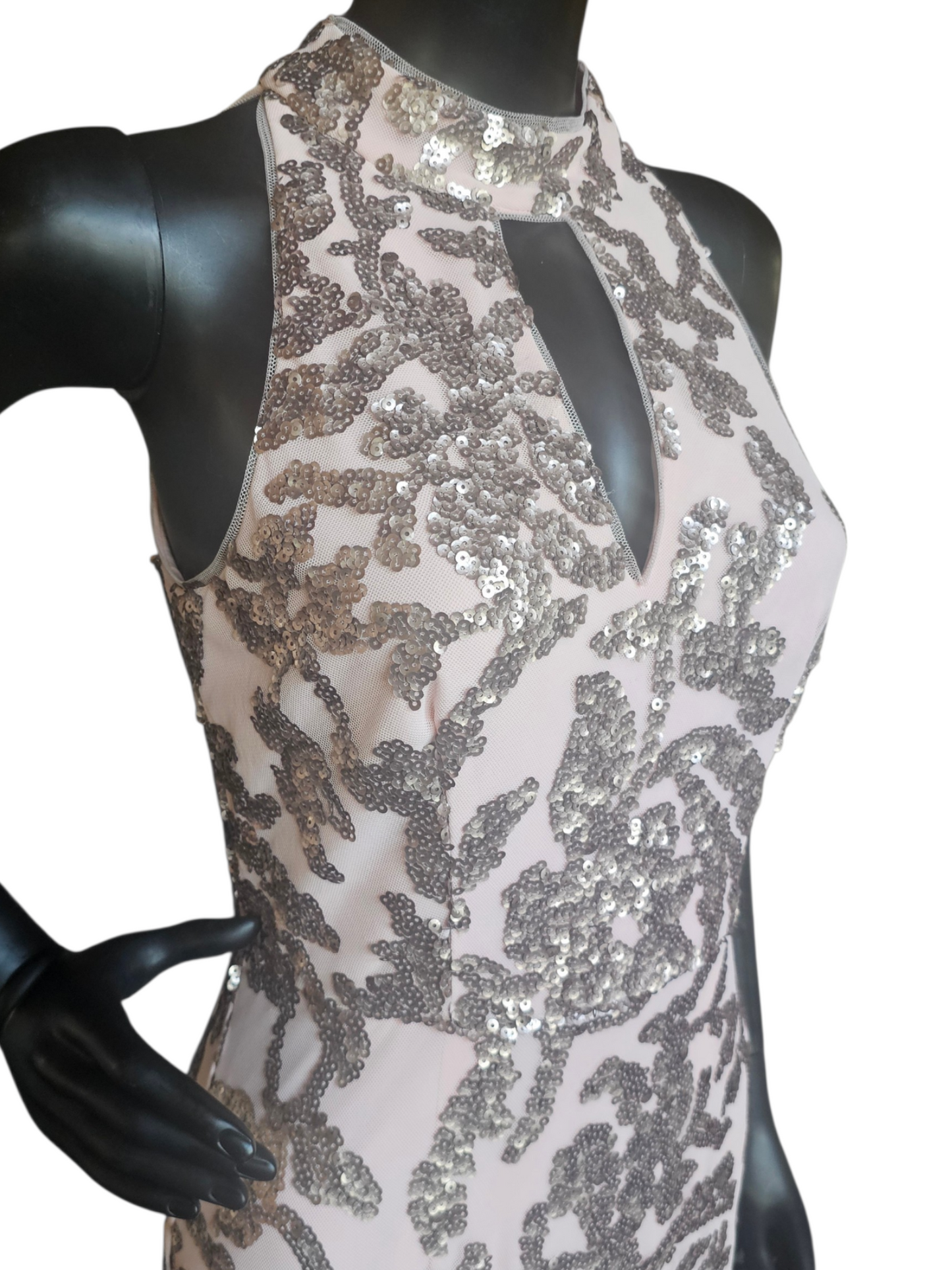 Blush High Neck Fit/Flare  Floral Ombre Sequin Maci Formal Dress - Adrianna Papell