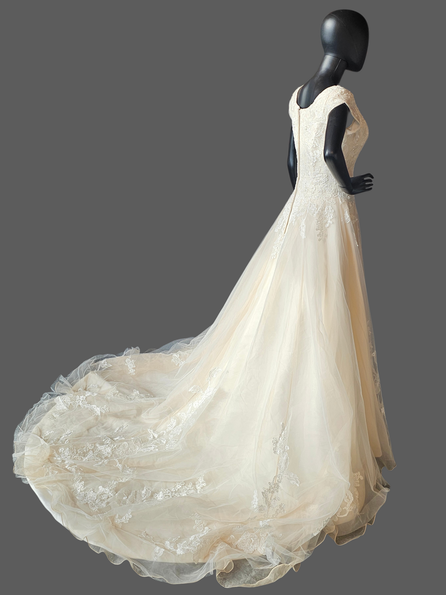 Champagne A-Line Cap Sleeve Floral Embroidered Wedding Gown - Bliss