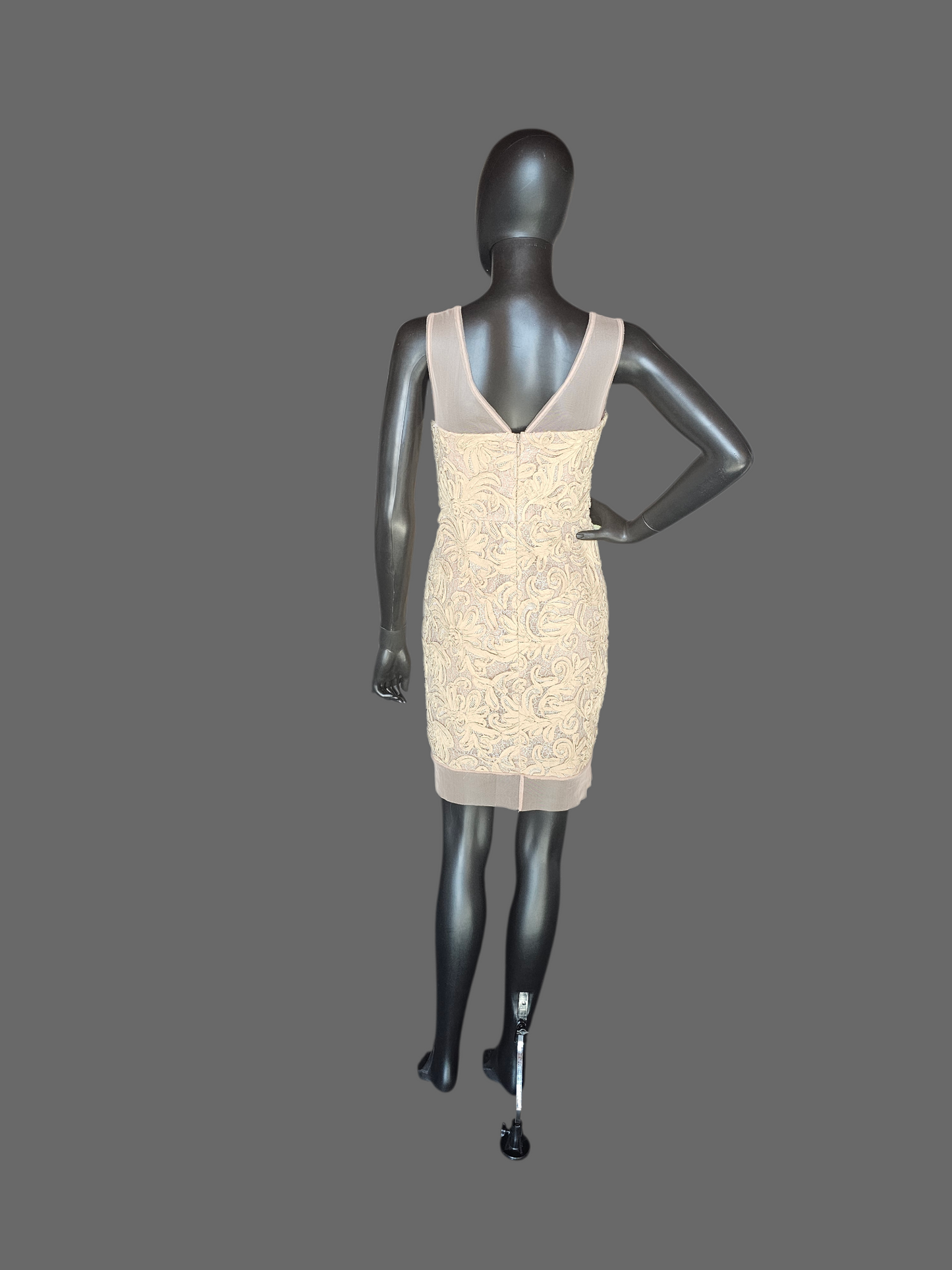 Taupe 3D Lace Illusion Cocktail/Party Dress - BCBG