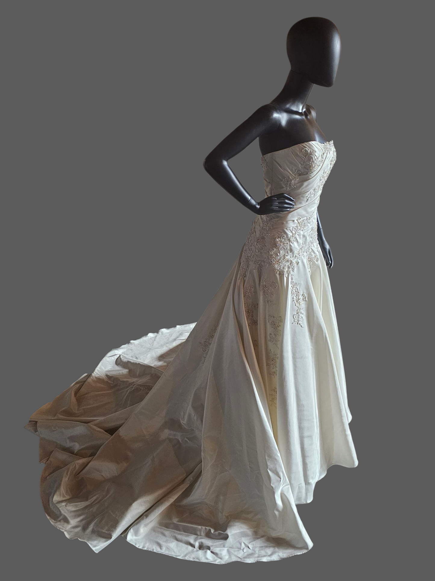 Ivory Taffeta Lace Embellish Wedding Gown - Blue