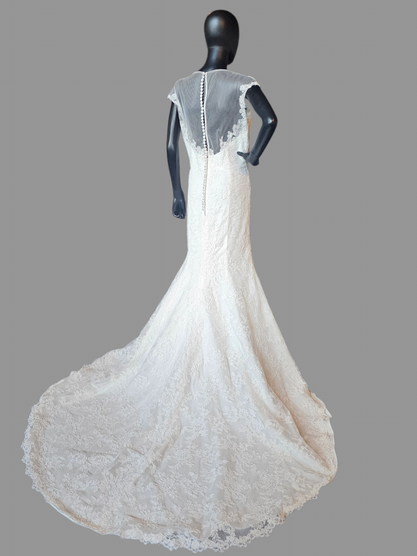 Ivory Lace Illusion Neckline - Da Vinci