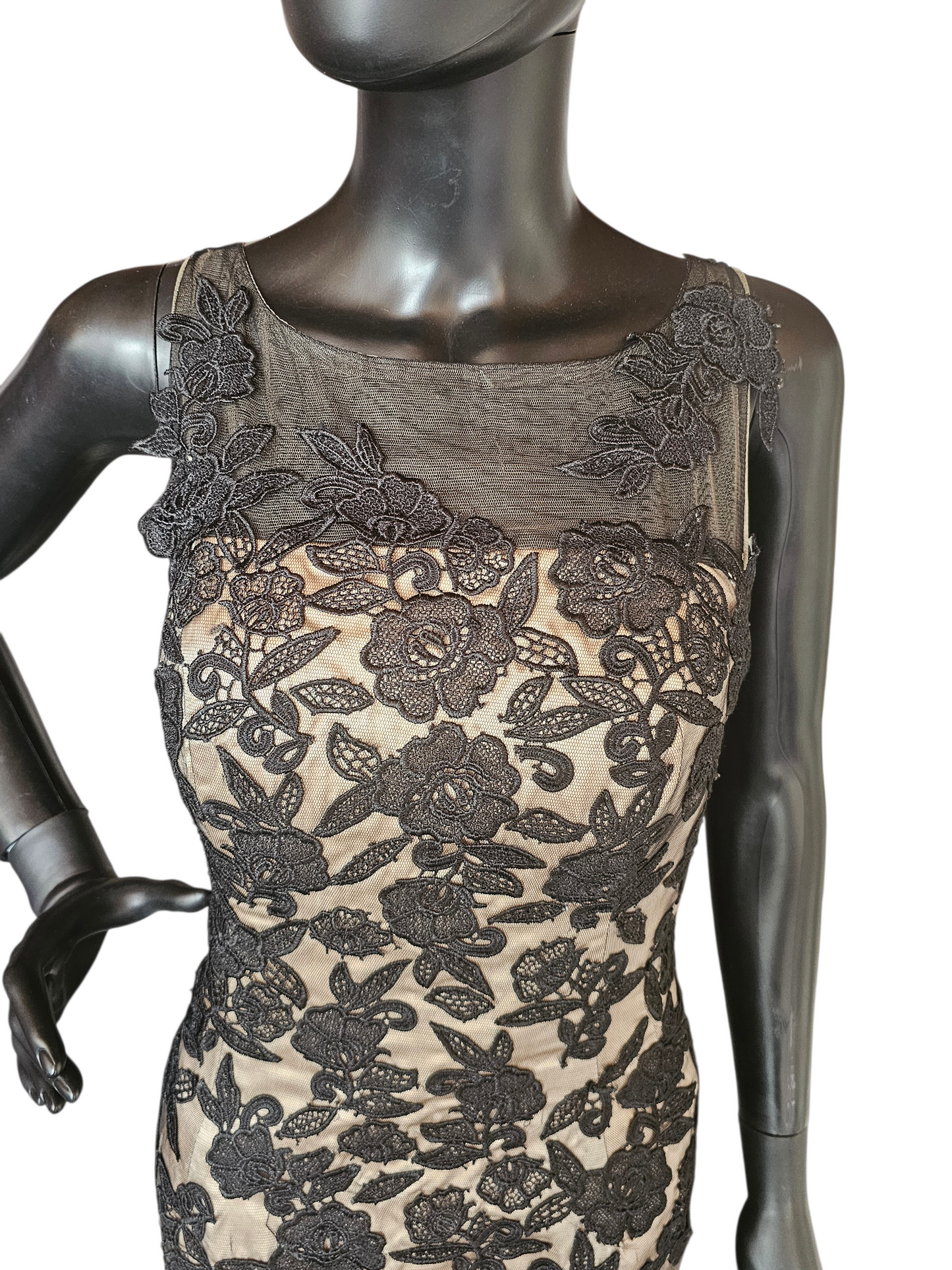 Black/Gold Lace Fitted Formal Dress