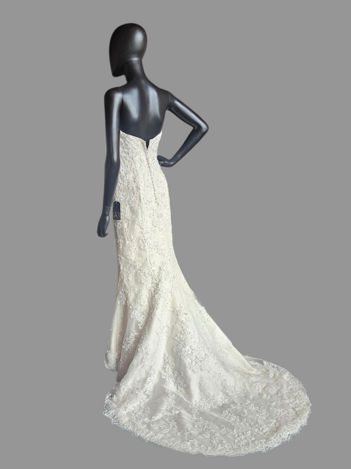 Ivory Lace Fit/Flare Sweetheart  Wedding Gown - Sottero & Midgley