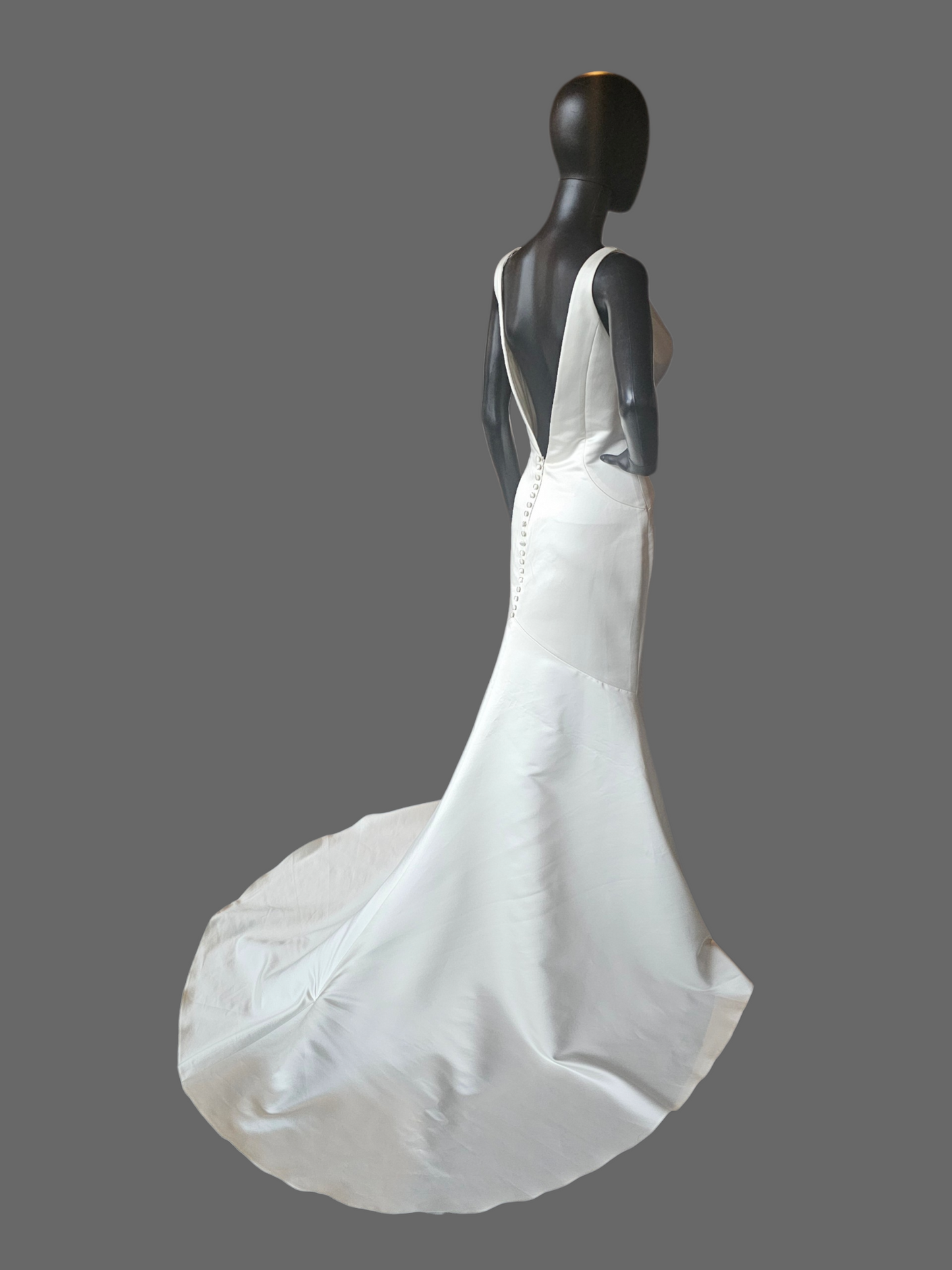 Minimalist V-Neck Satin Fit/Flare - The Other