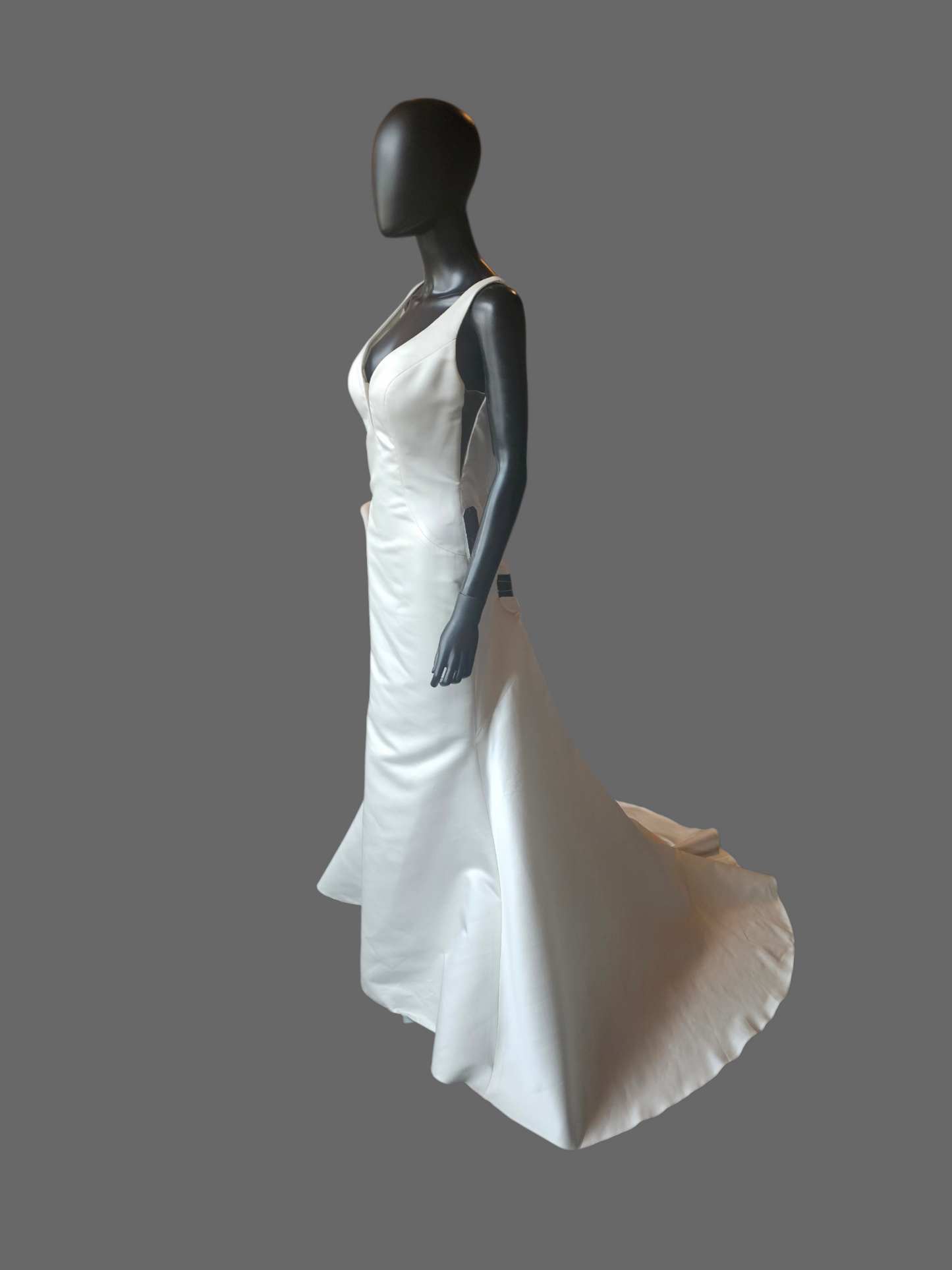Minimalist V-Neck Satin Fit/Flare - The Other
