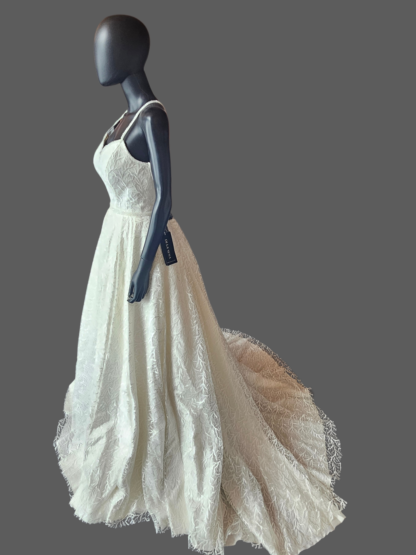 Ivory Sparkle Vine Embroidered Pleated A-Line Wedding Ballgown - Di La Sena - NWT