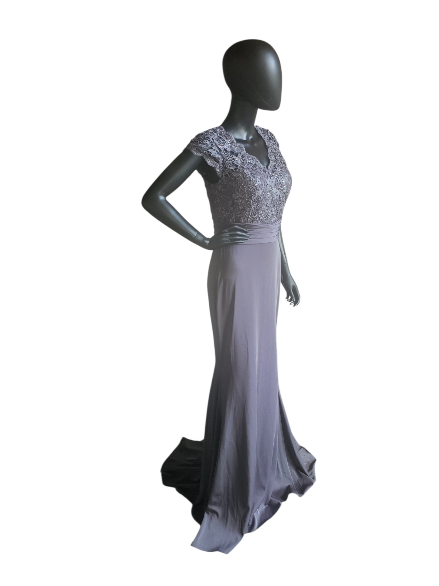 Slate Lace Cap Sleeve Fit/Flare  Rhinestone Detail Belt design Train Formal Dress - Alyce