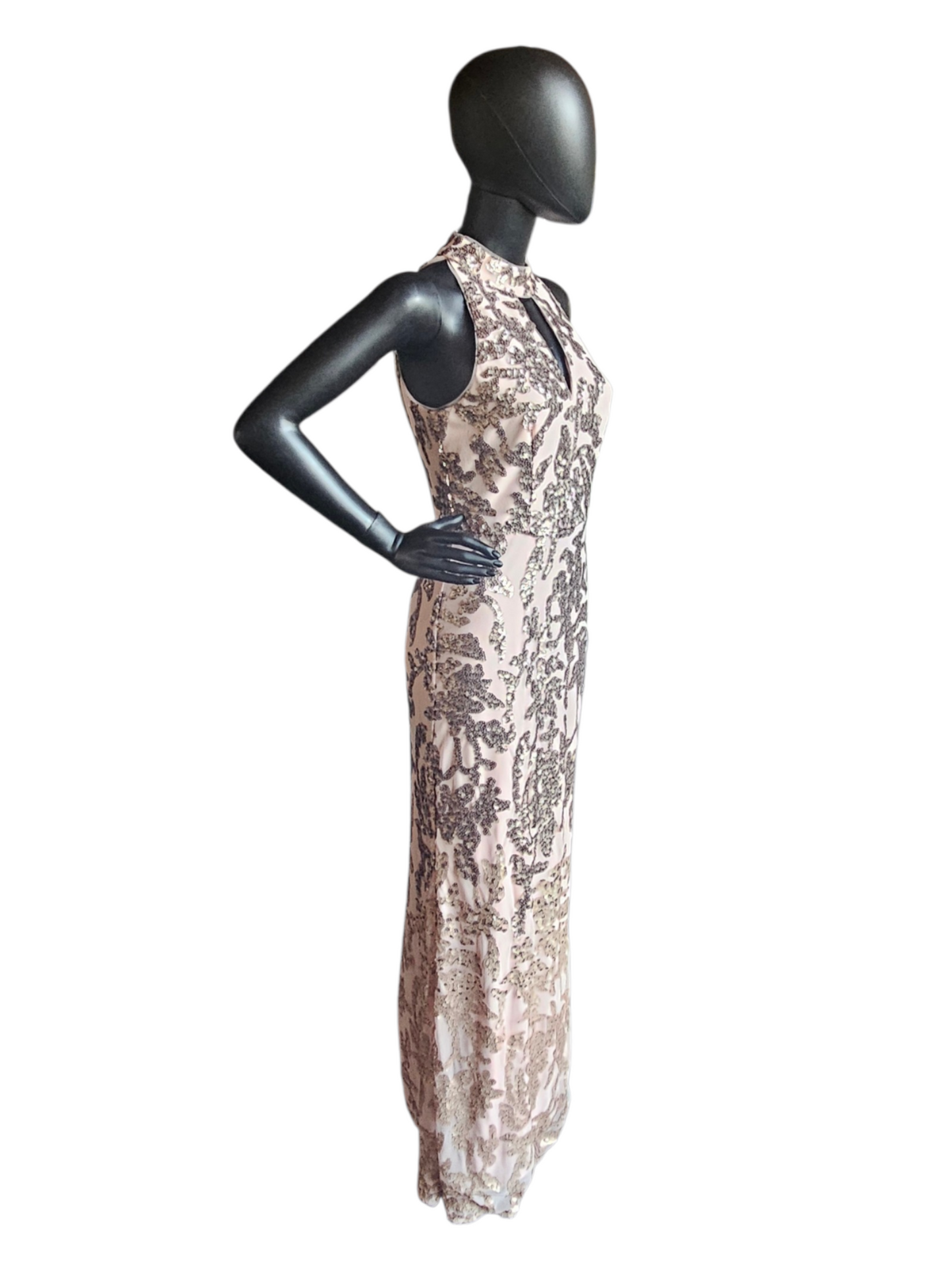Blush High Neck Fit/Flare  Floral Ombre Sequin Maci Formal Dress - Adrianna Papell