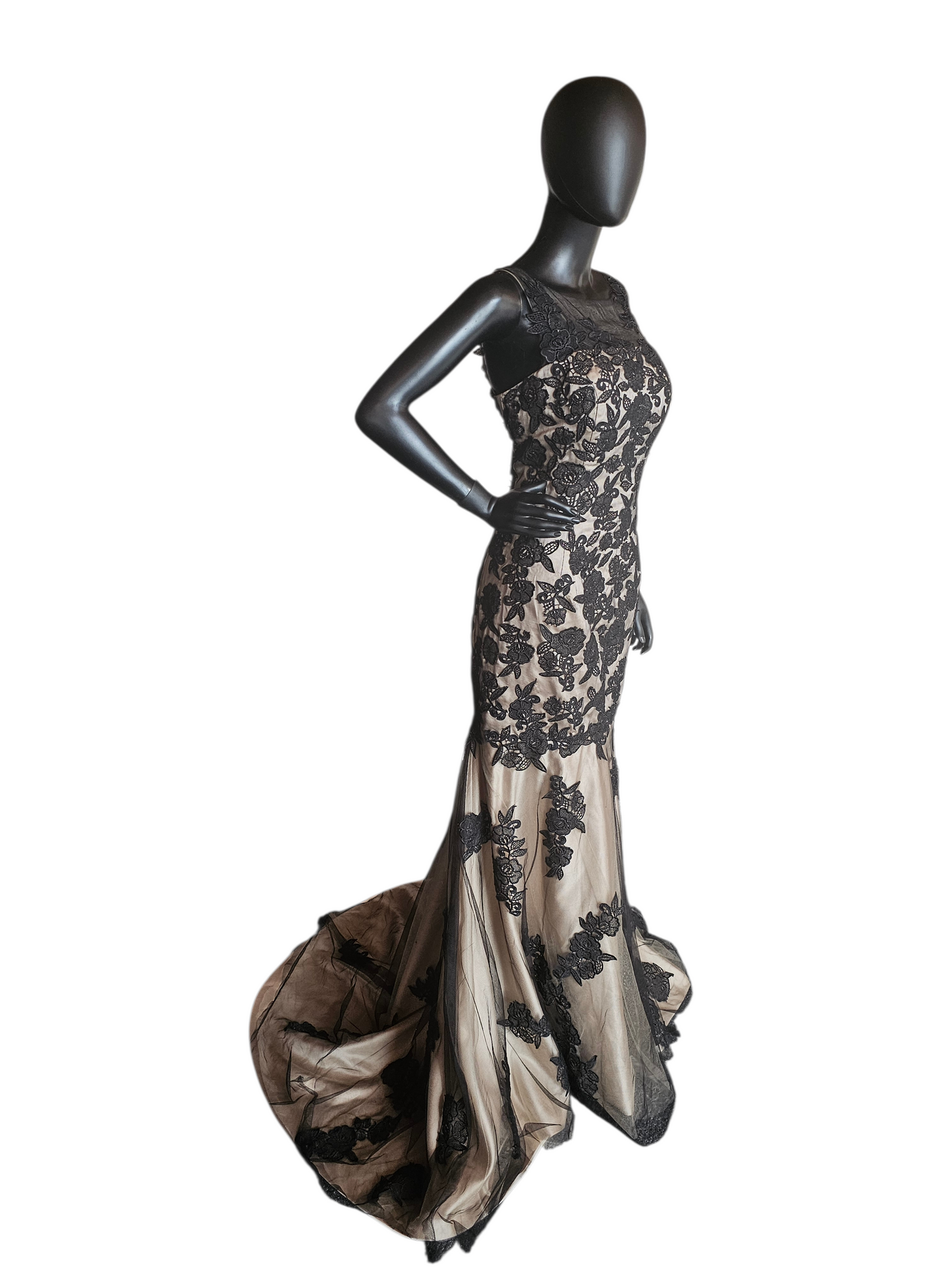 Black/Gold Lace Fitted Formal Dress