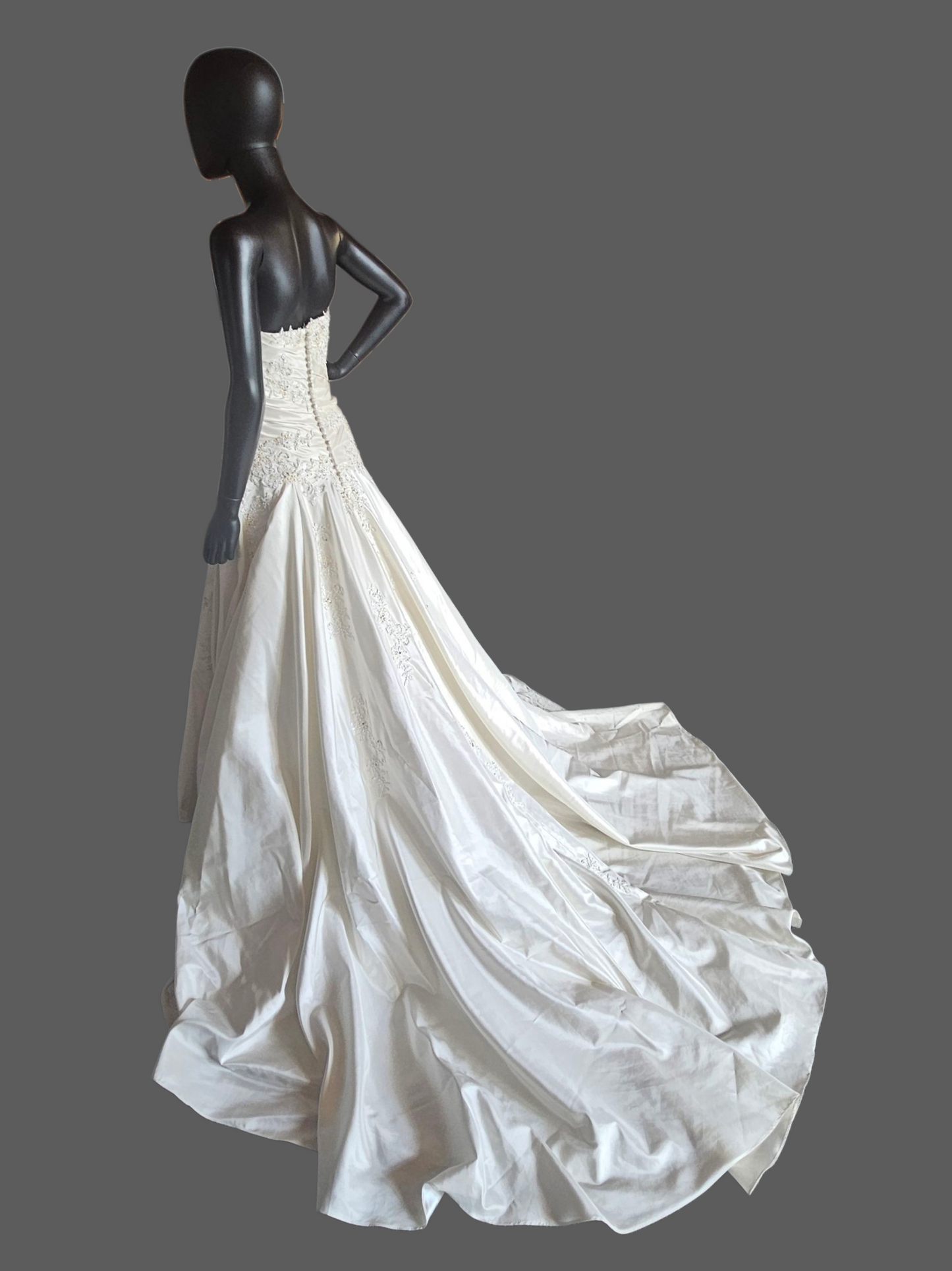 Ivory Taffeta Lace Embellish Wedding Gown - Blue