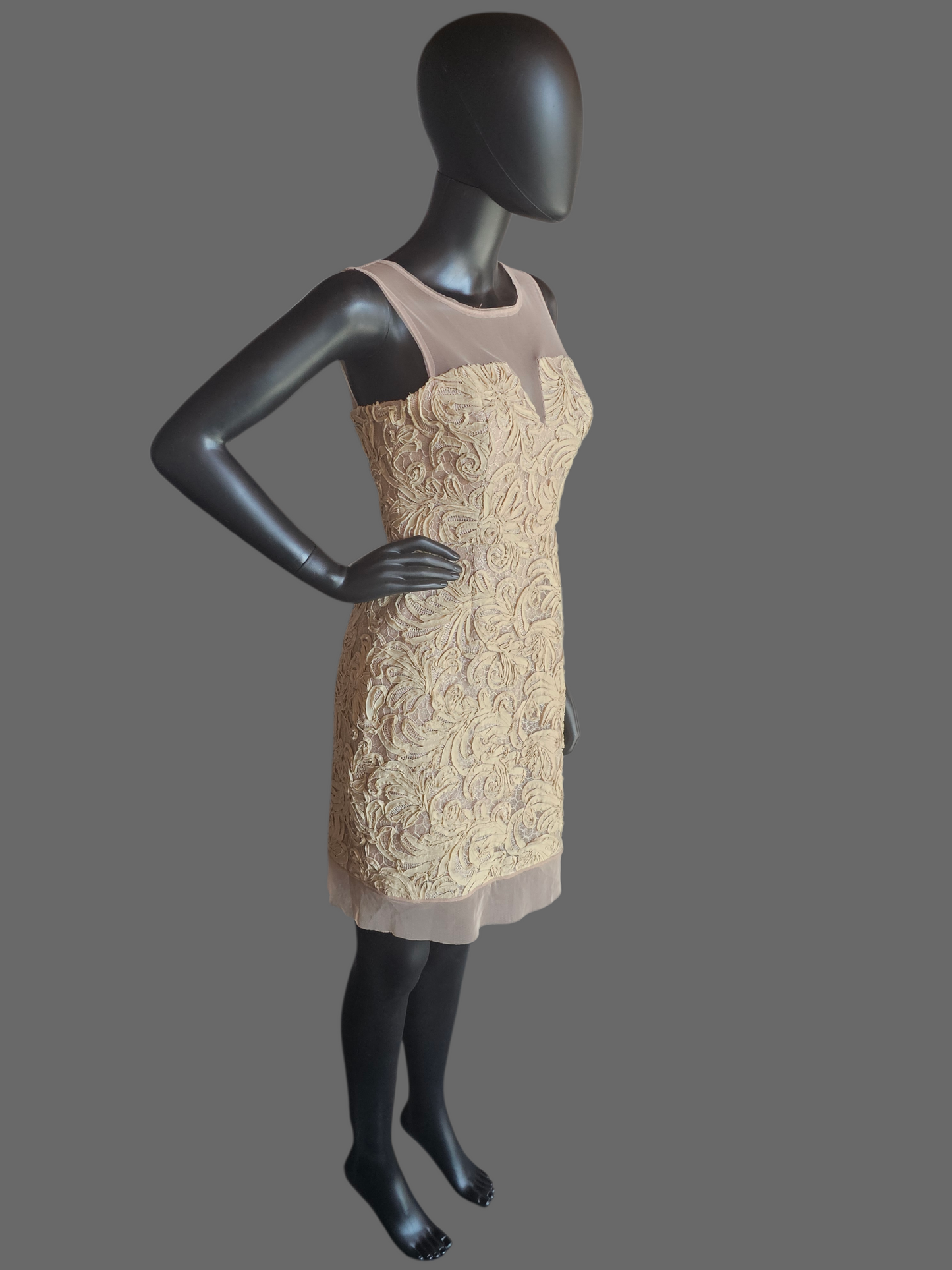 Taupe 3D Lace Illusion Cocktail/Party Dress - BCBG