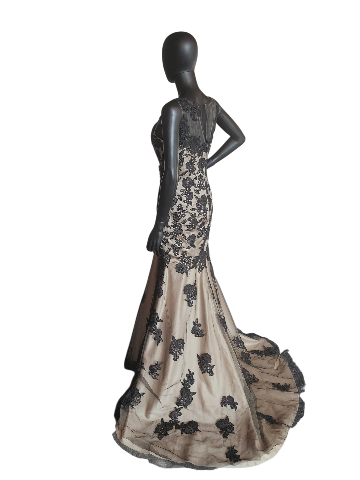 Black/Gold Lace Fitted Formal Dress