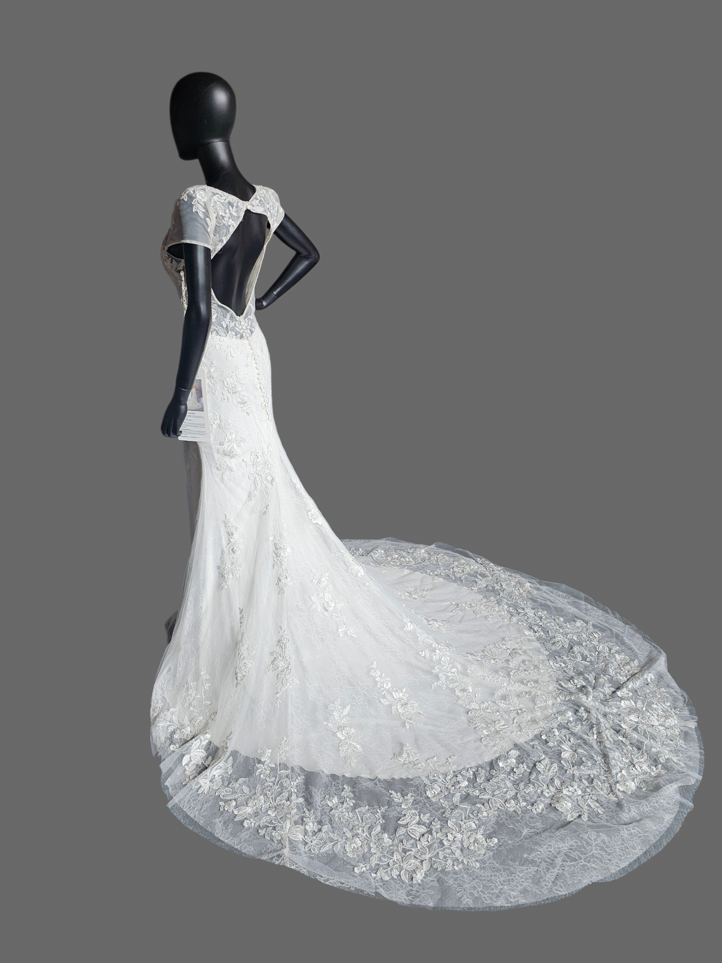 Cap Sleeve Plunge Fit/Flare Wedding Gown - Mori Lee