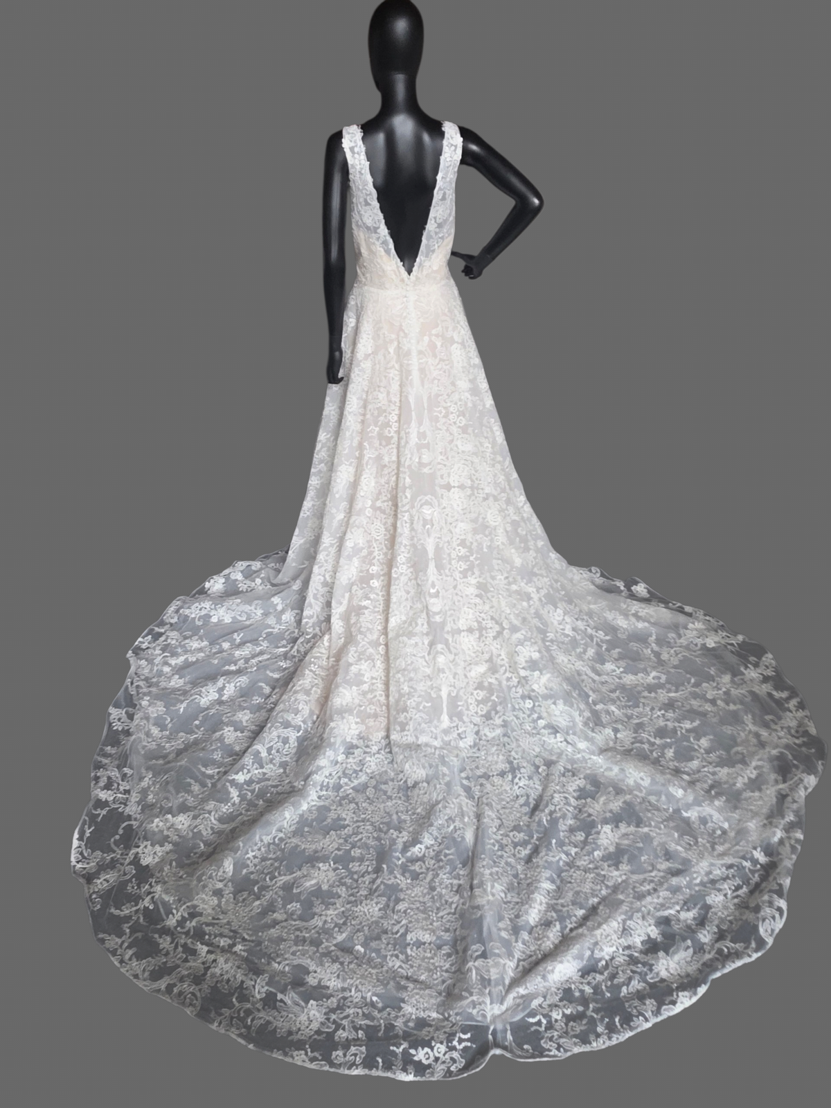 Ivory/Nude 3-Look Lace Plunge Sparkle A-Line Wedding Gown W/Detatch Sleeve - Martin Thornburg