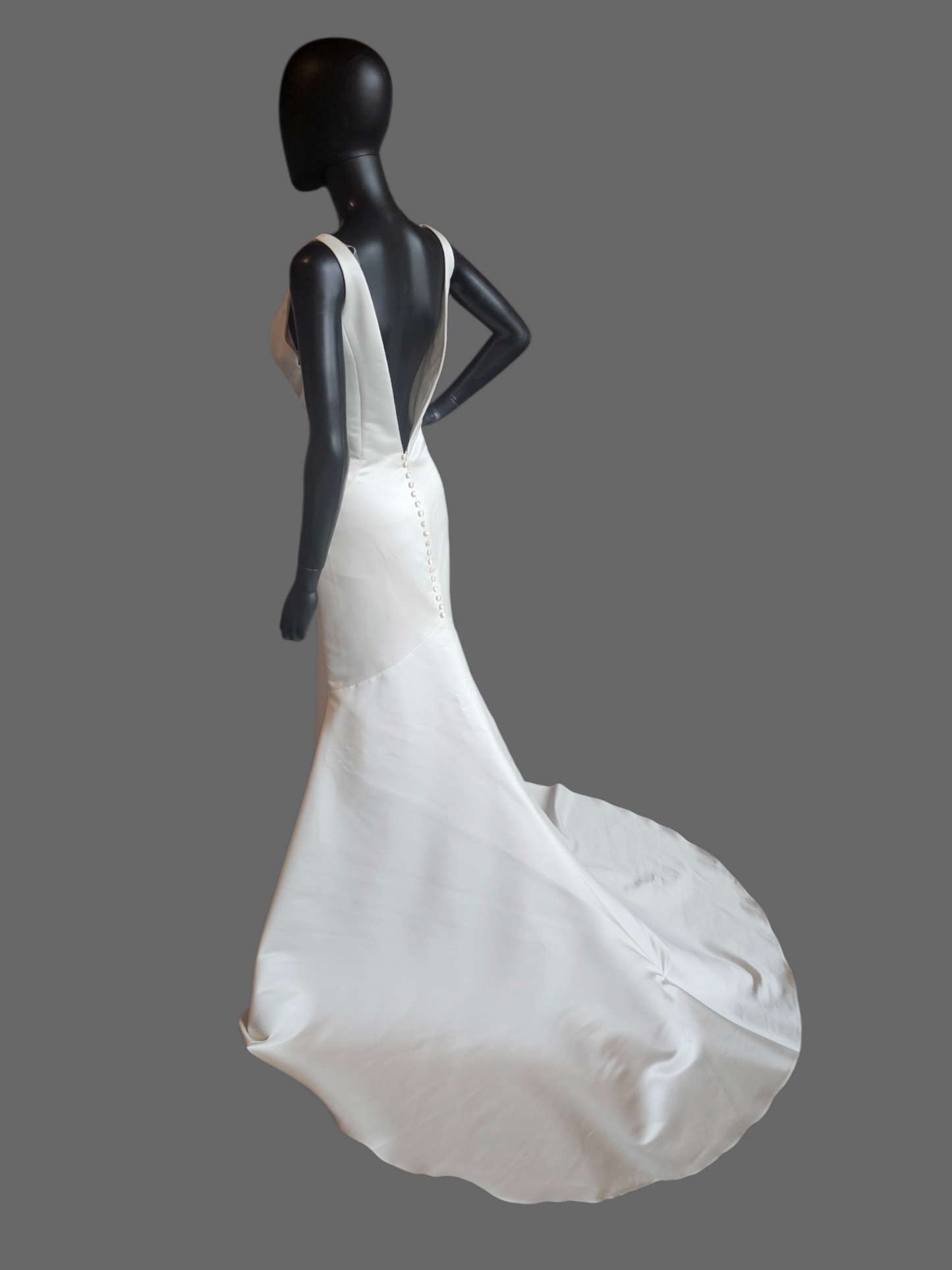 Minimalist V-Neck Satin Fit/Flare - The Other