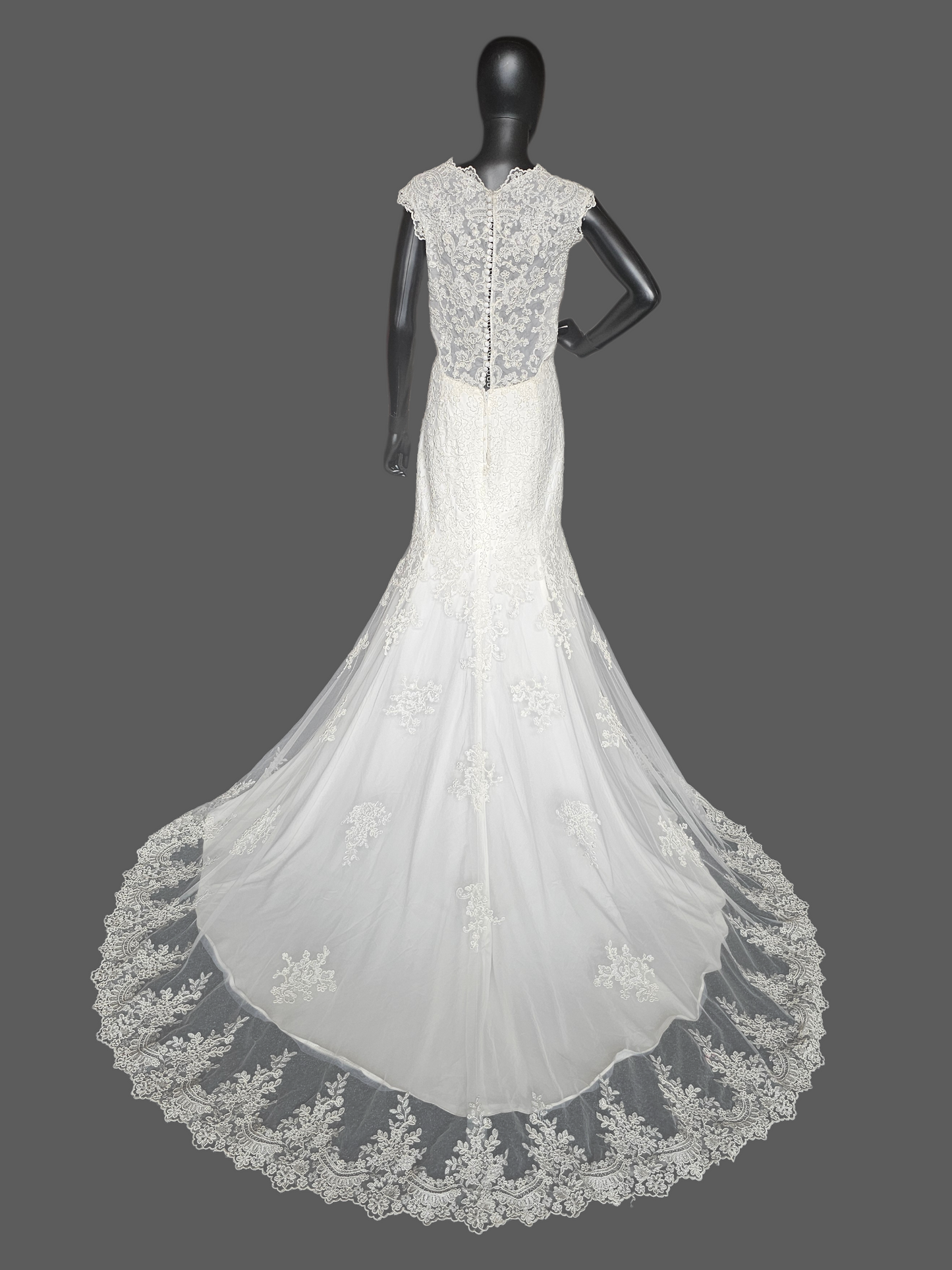 Corded Ivory Lace Fit/Flare Cap Sleeve Wedding Gown - Da Vinci