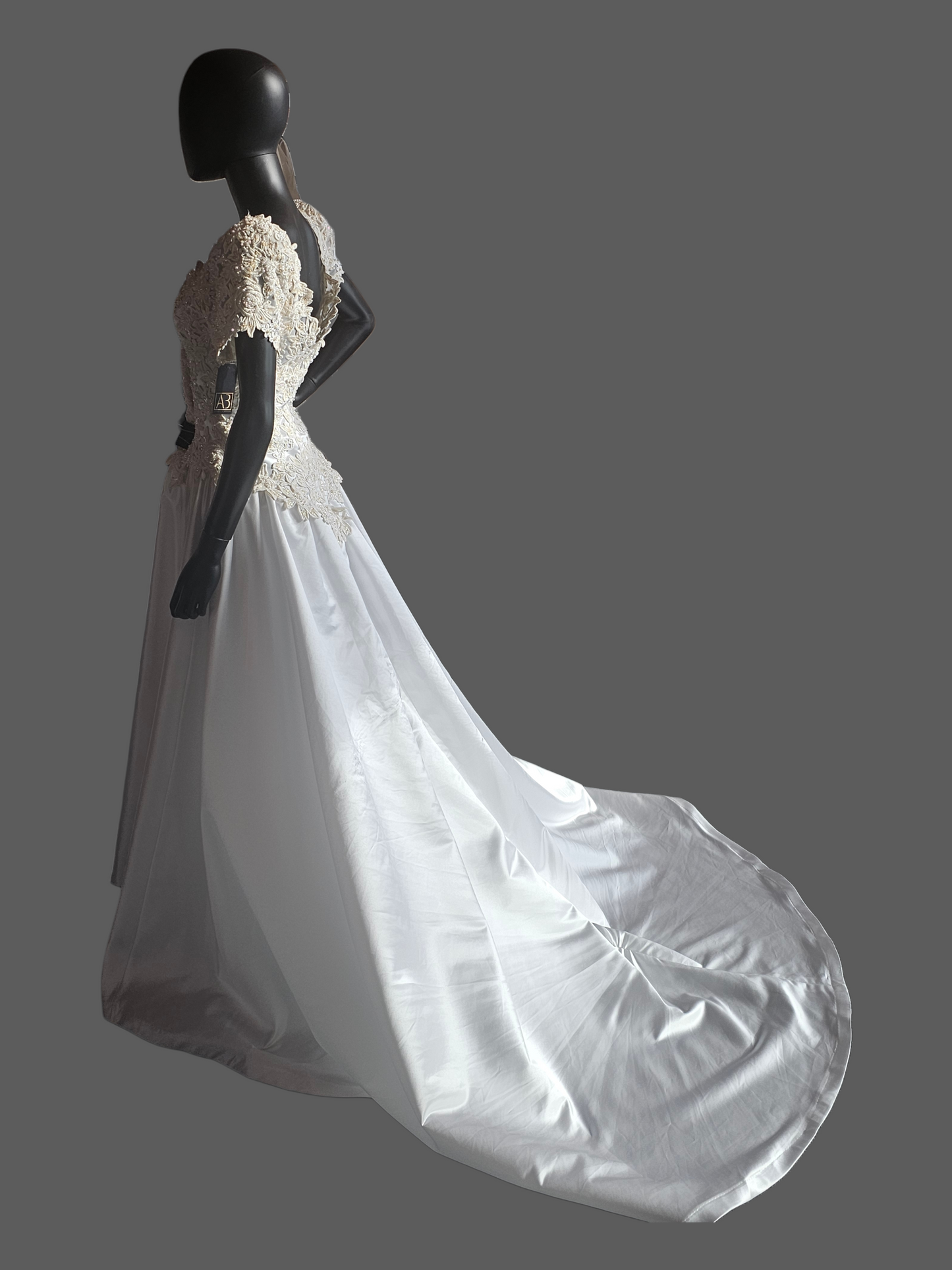 Vintage White Embroidered Cap Sleeve N-Neck Wedding Gown - Modest