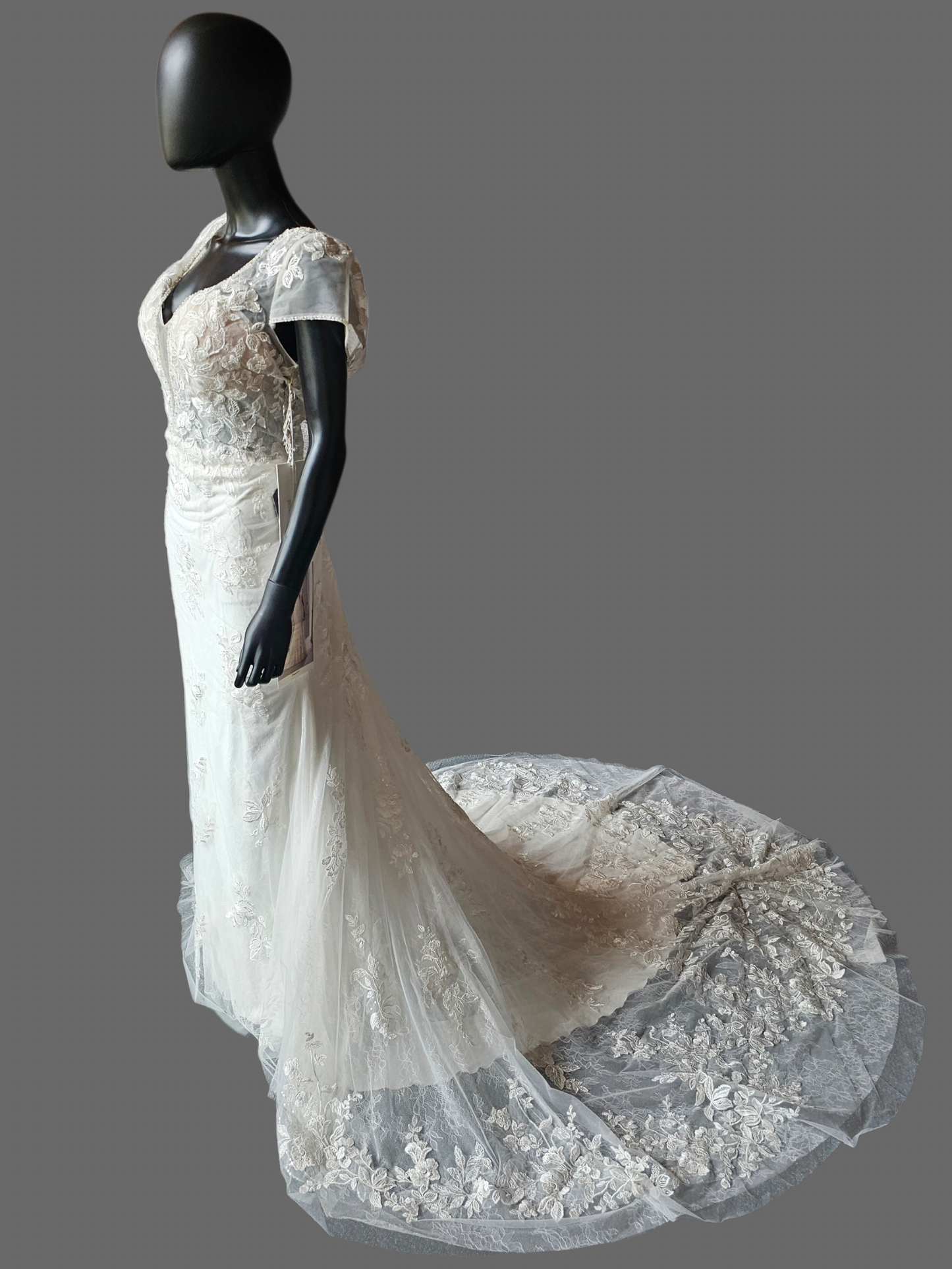 Cap Sleeve Plunge Fit/Flare Wedding Gown - Mori Lee