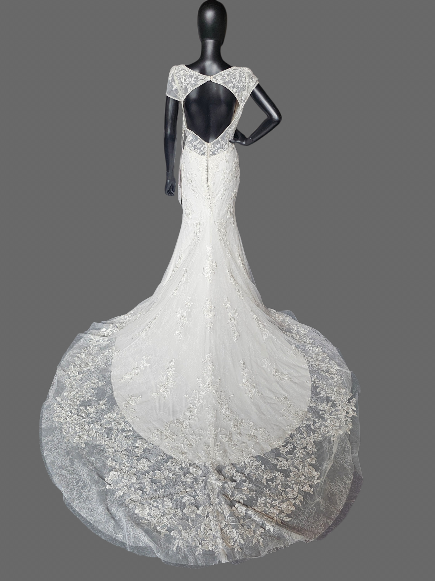 Cap Sleeve Plunge Fit/Flare Wedding Gown - Mori Lee