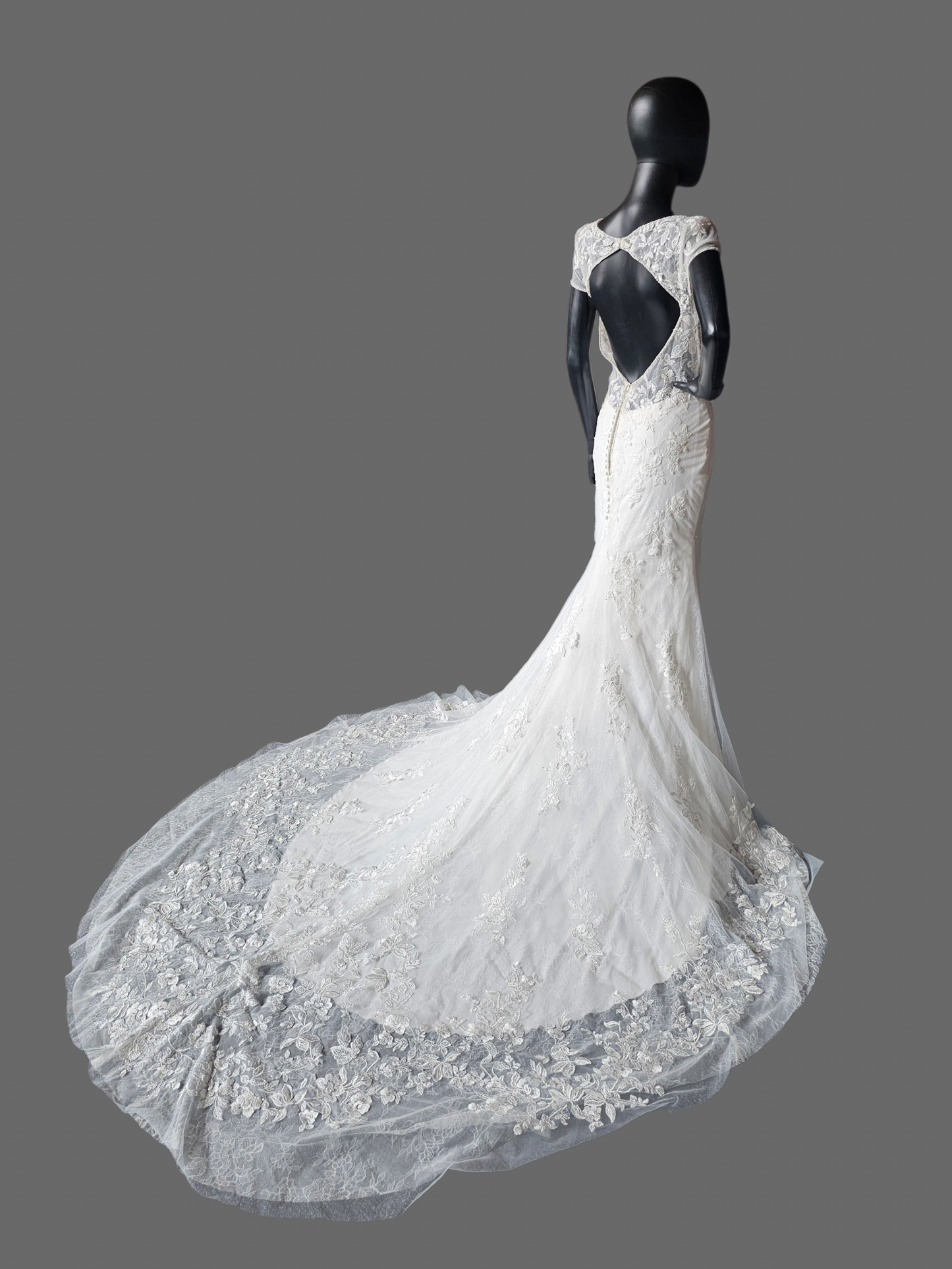 Cap Sleeve Plunge Fit/Flare Wedding Gown - Mori Lee