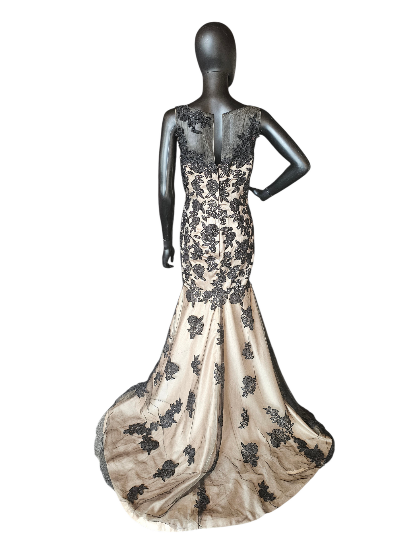 Black/Gold Lace Fitted Formal Dress